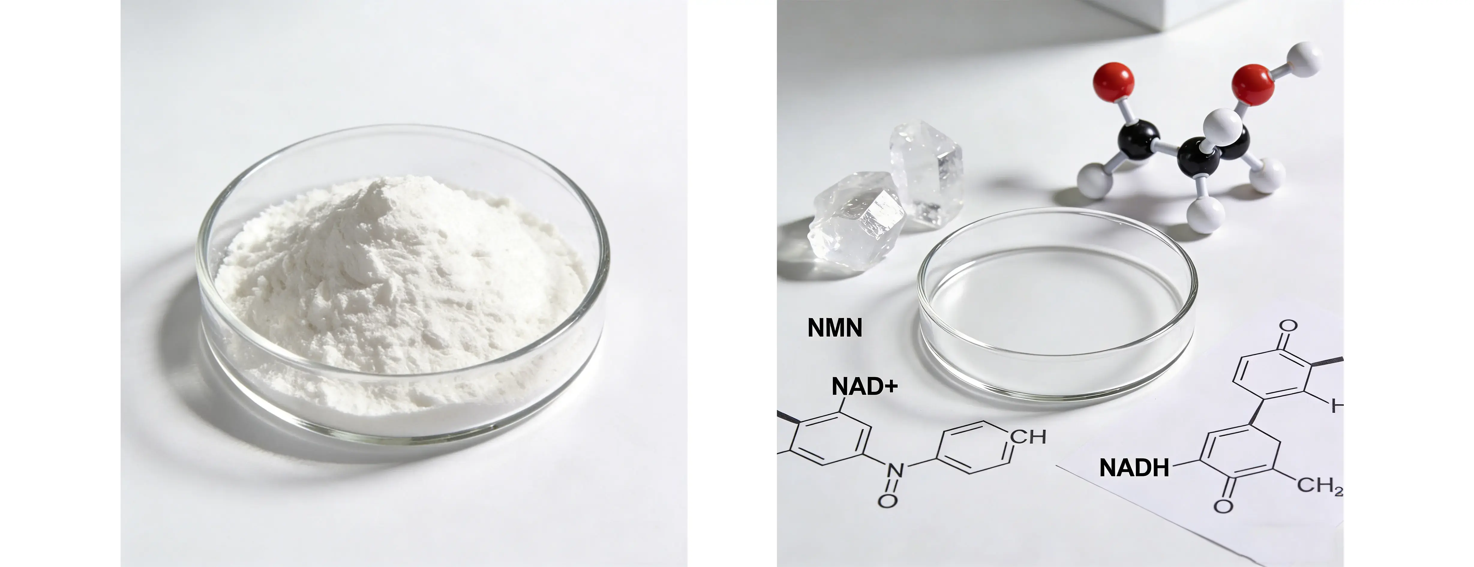 NMN