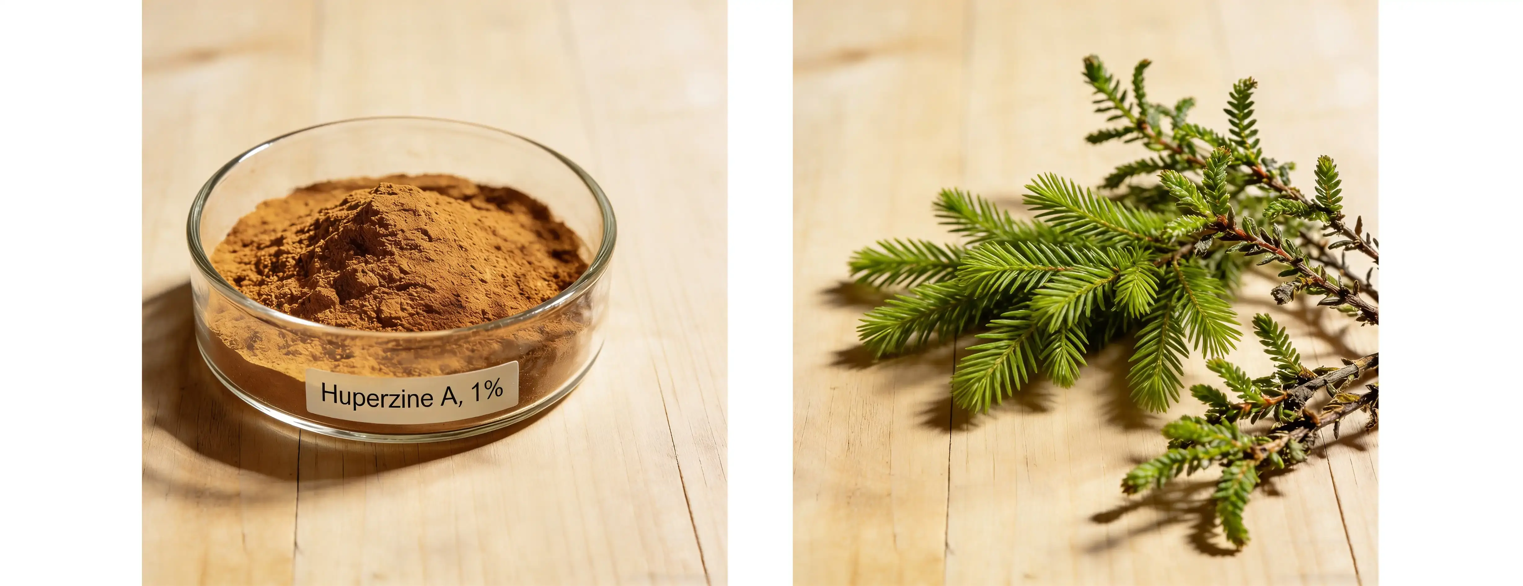 Huperzine A 1%