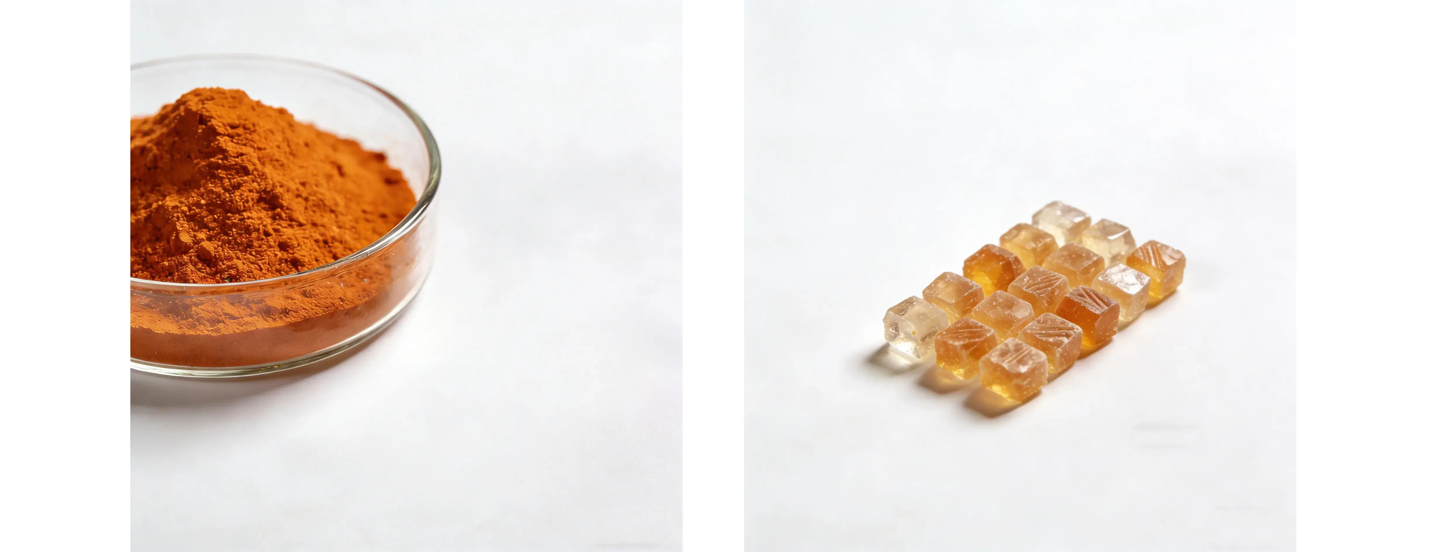 Bioavailable Coenzyme Q10 Ubiquinol