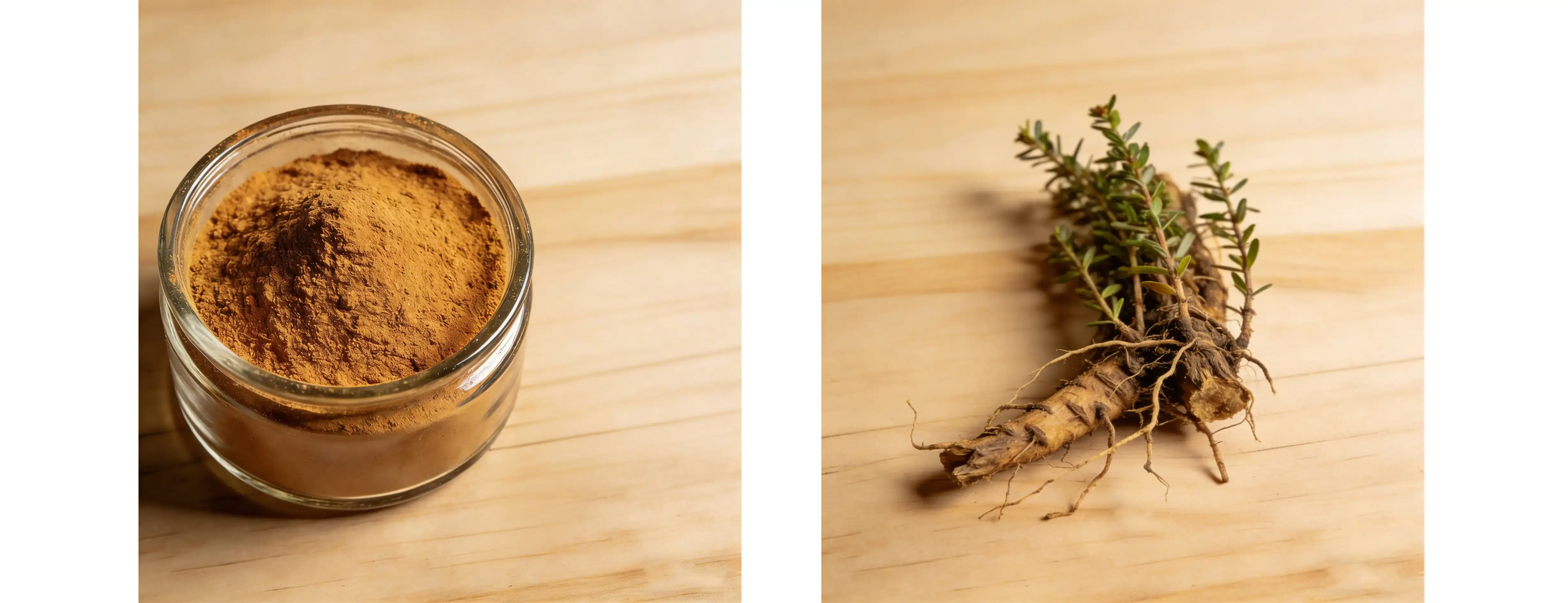 Ruscus Extract Ruscus Extract