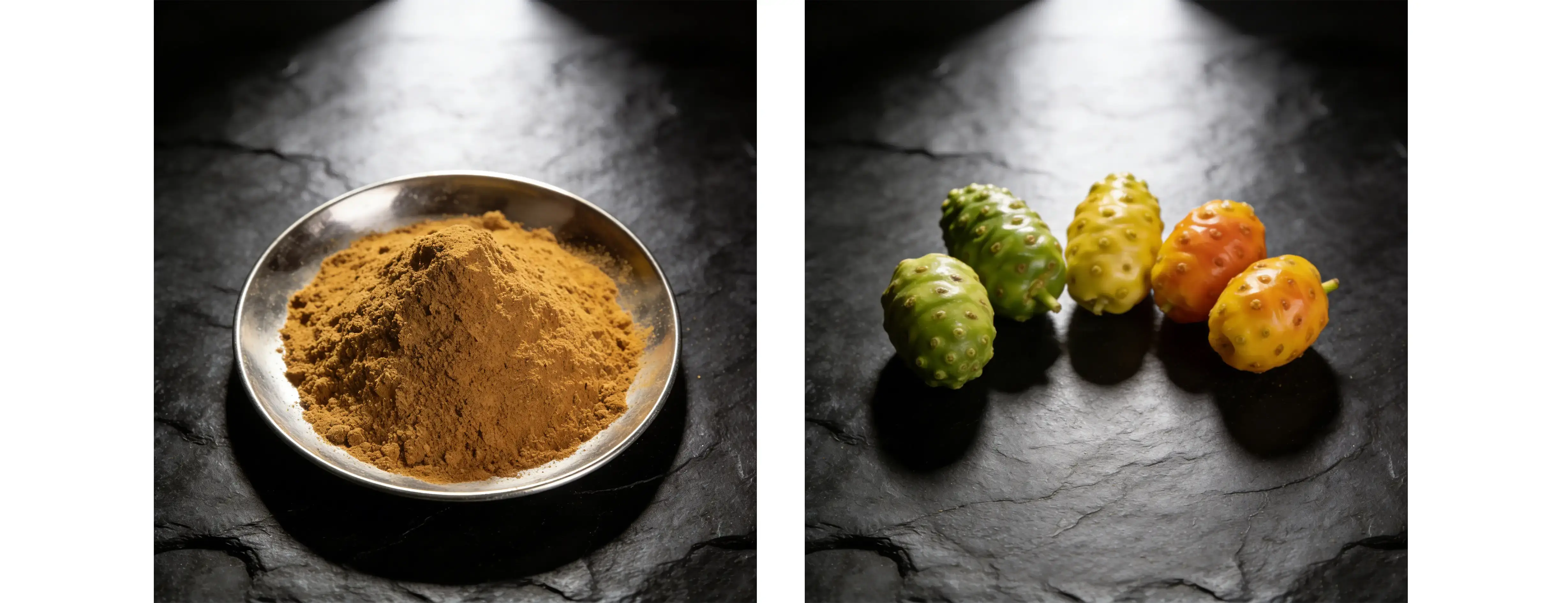 Noni Extract Noni Extract
