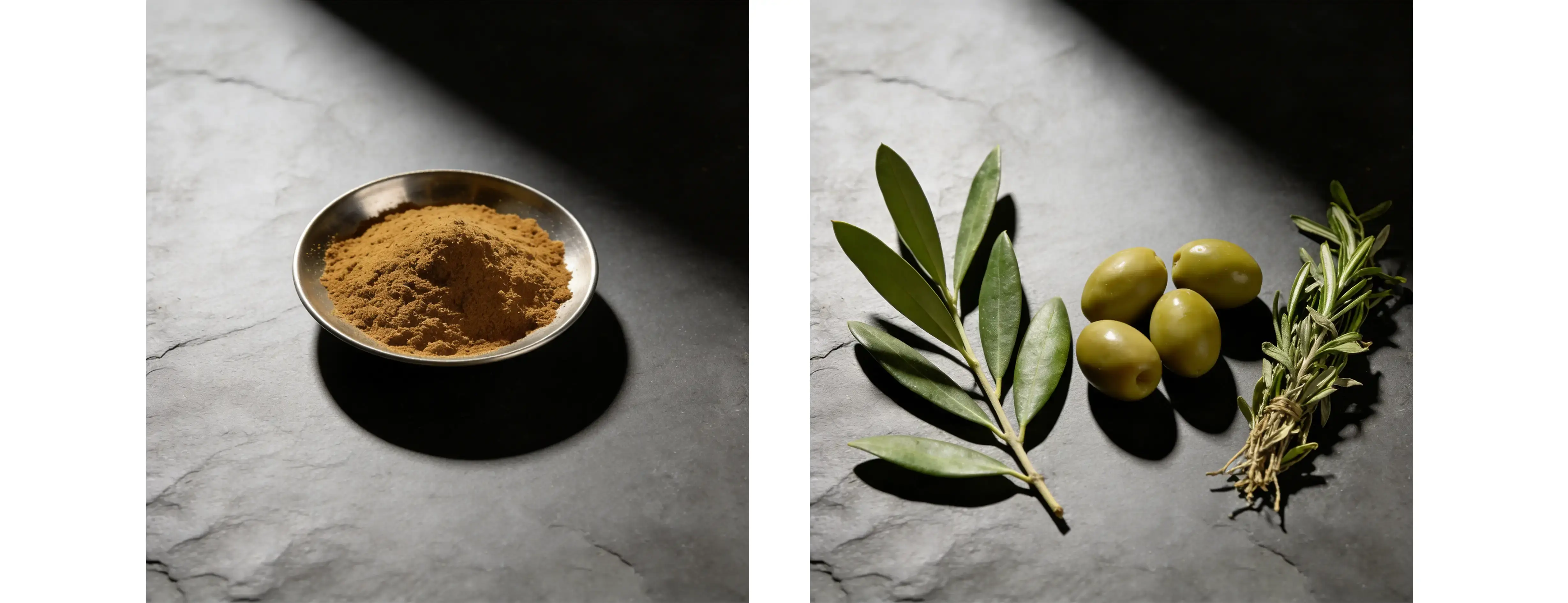 Olive Leaf Extract Olive Leaf Extract