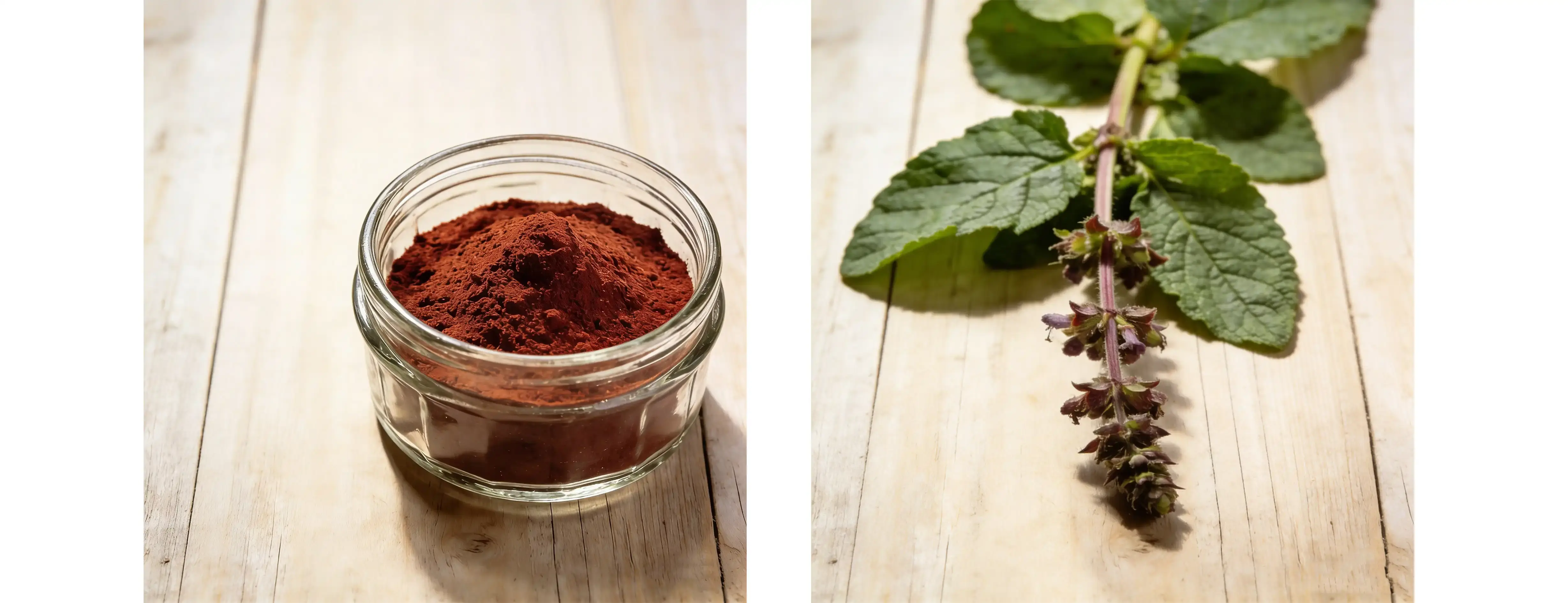 Comfrey Extract Comfrey Extract