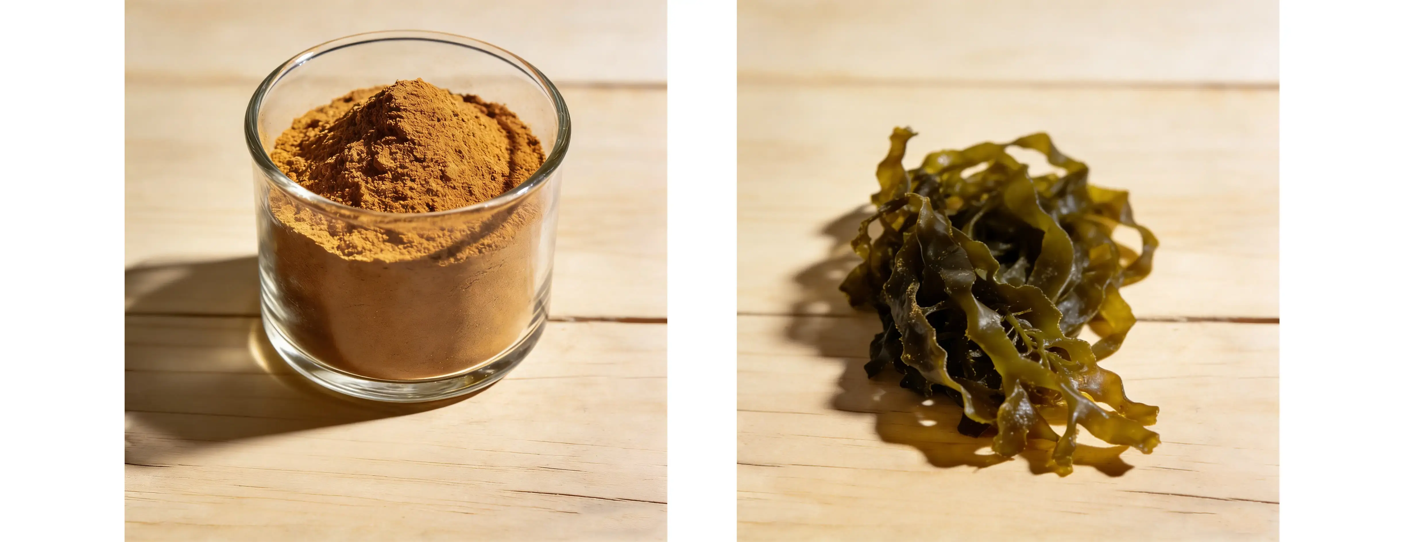 Irish Sea Moss Extract