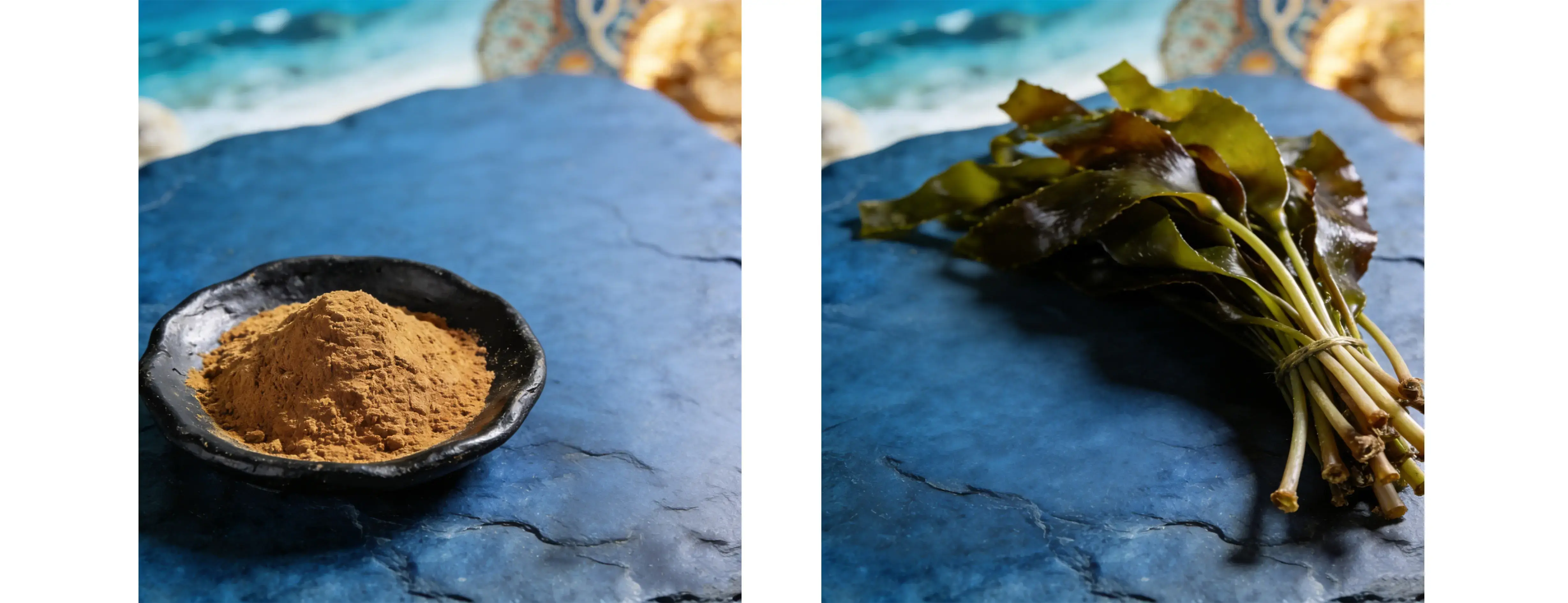 Kelp Extract Kelp Extract