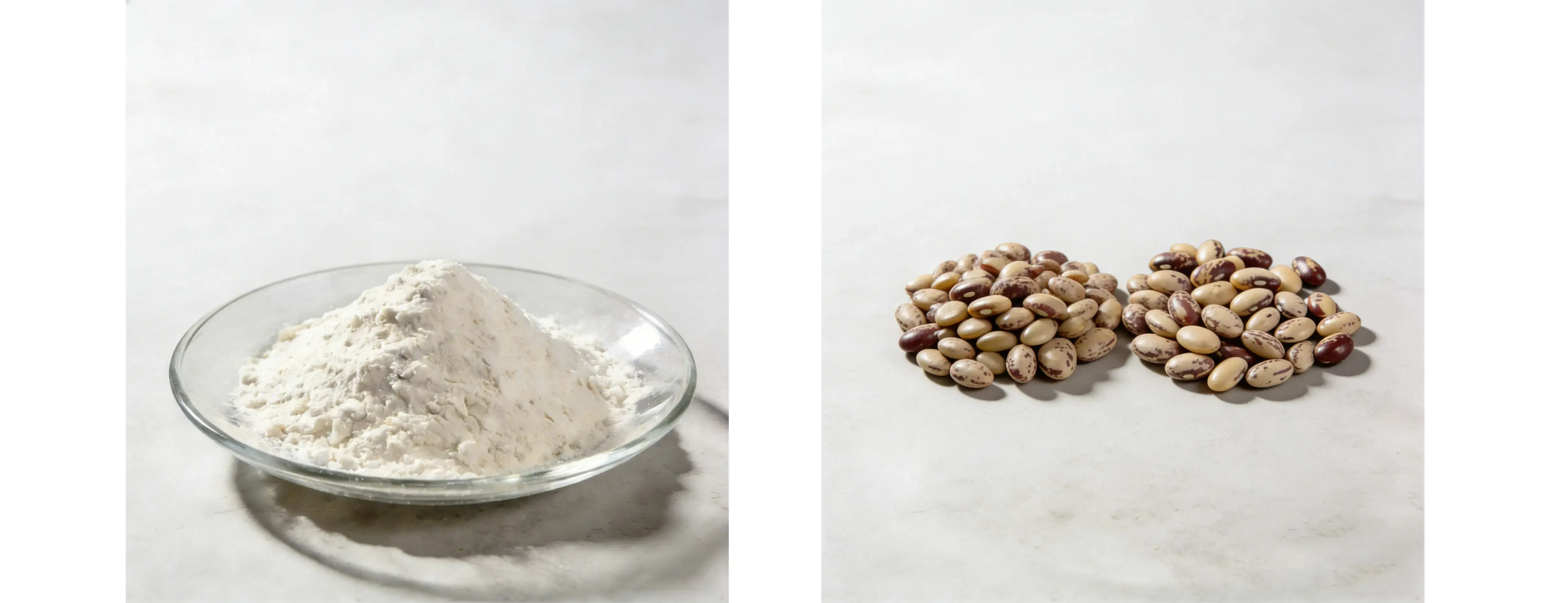 High-Potency Mucuna Pruriens Extract