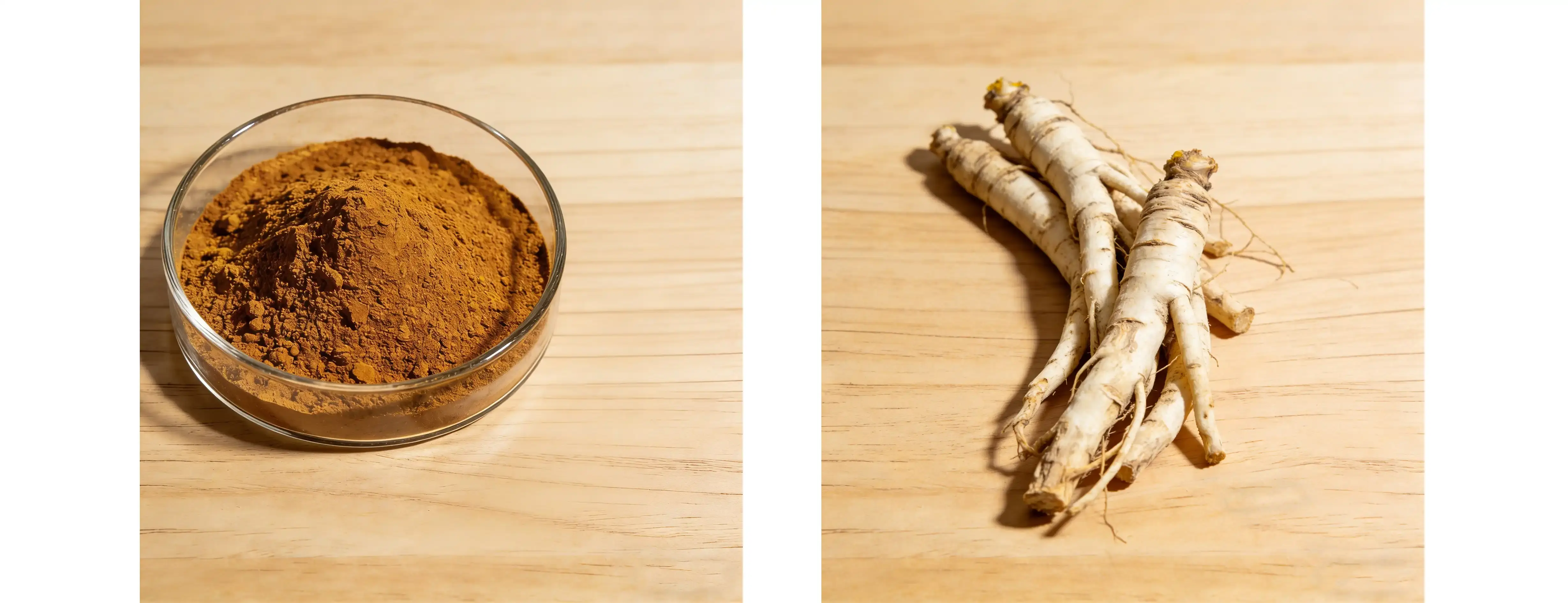 Goldenseal Extract Goldenseal Extract