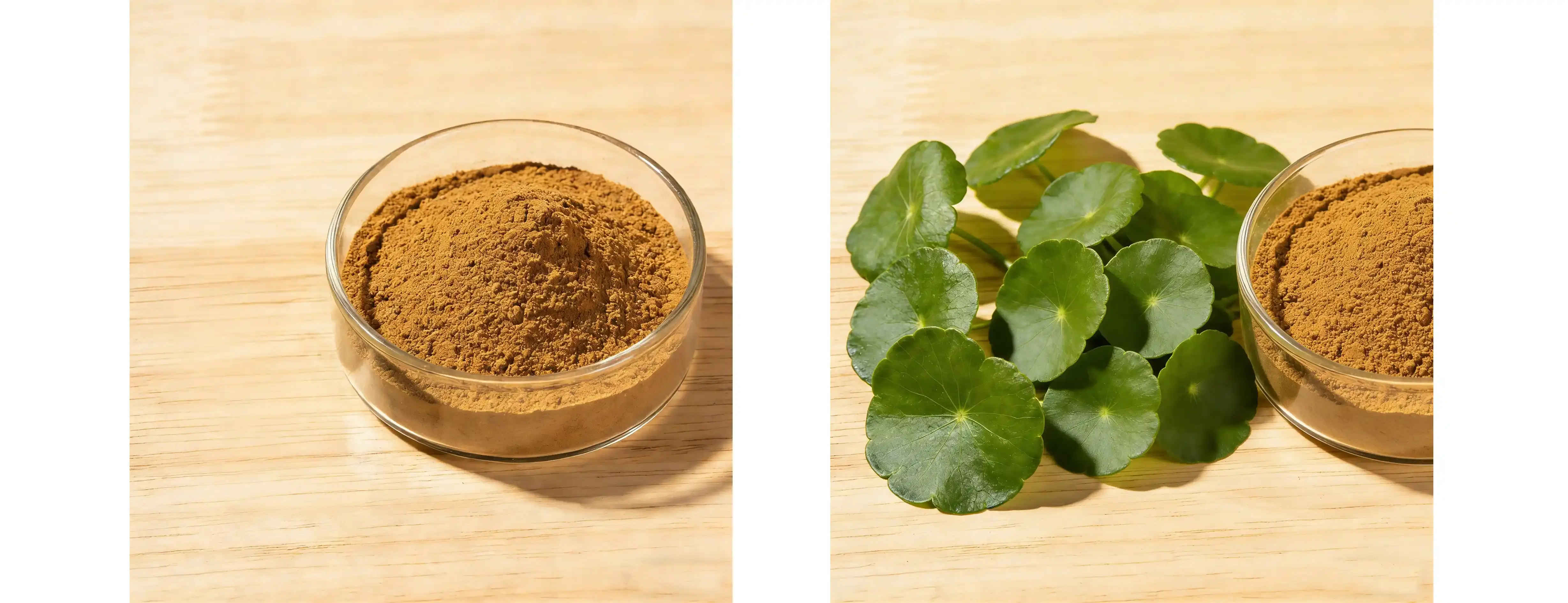 Gotu Kola Powder Gotu Kola Powder