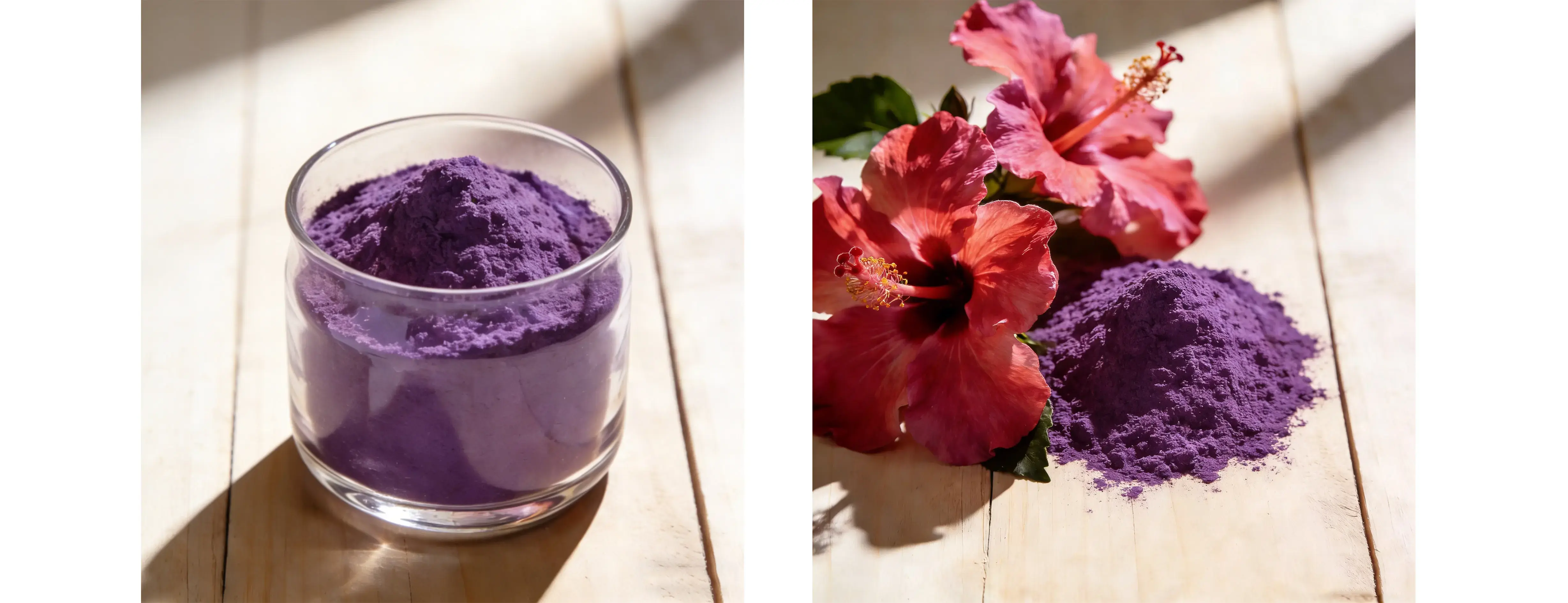 Hibiscus Flower Extract Hibiscus Flower Extract