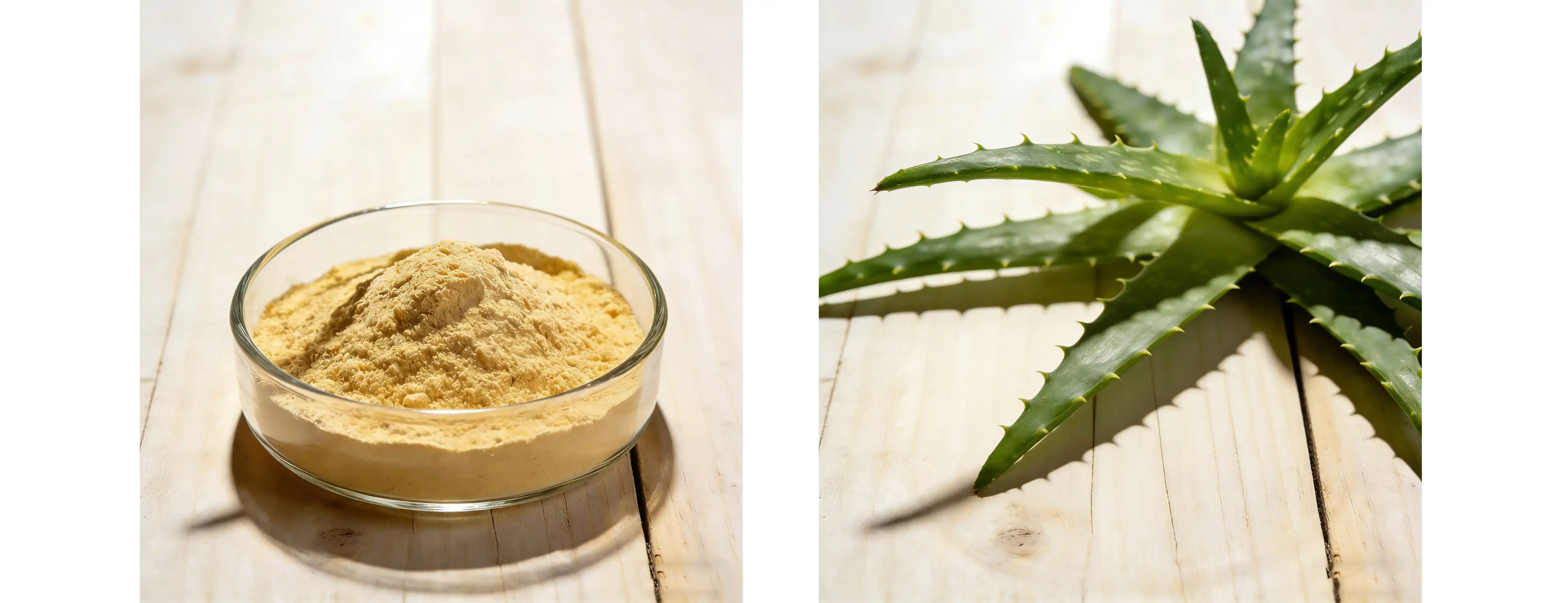 Cape Aloe Extract