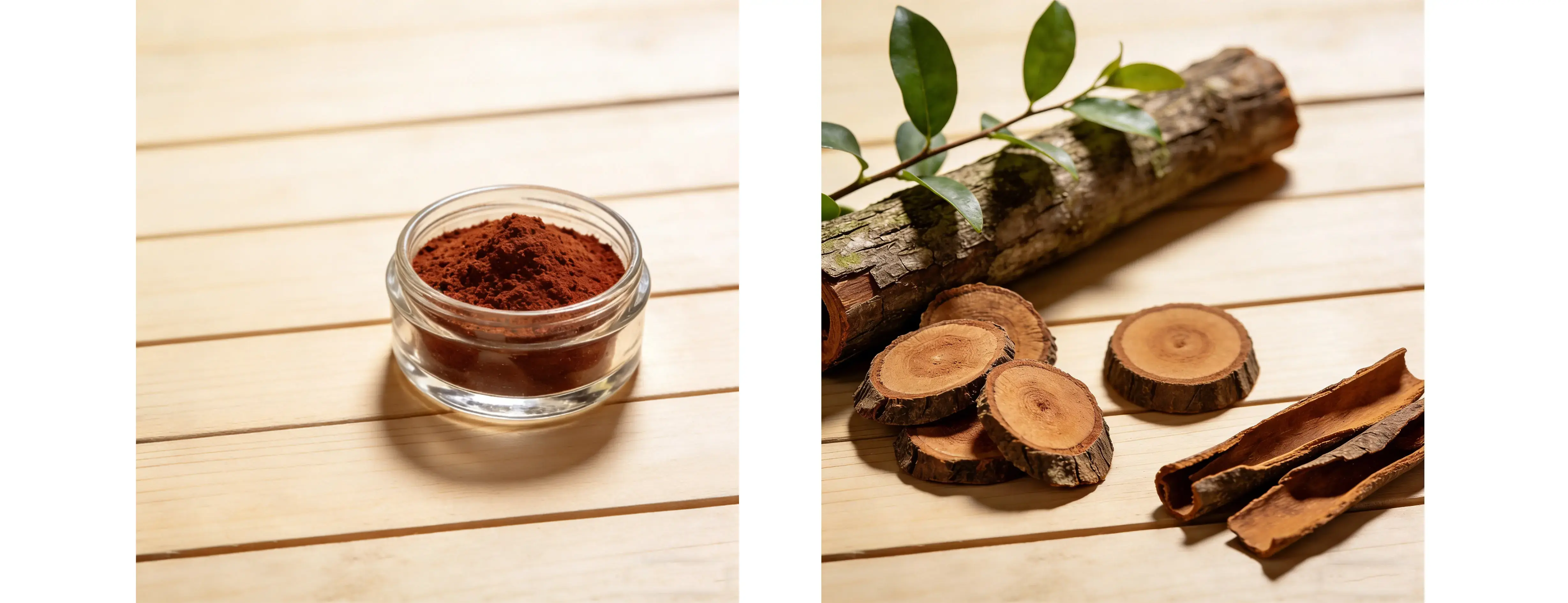 Cinnamon Bark Extract