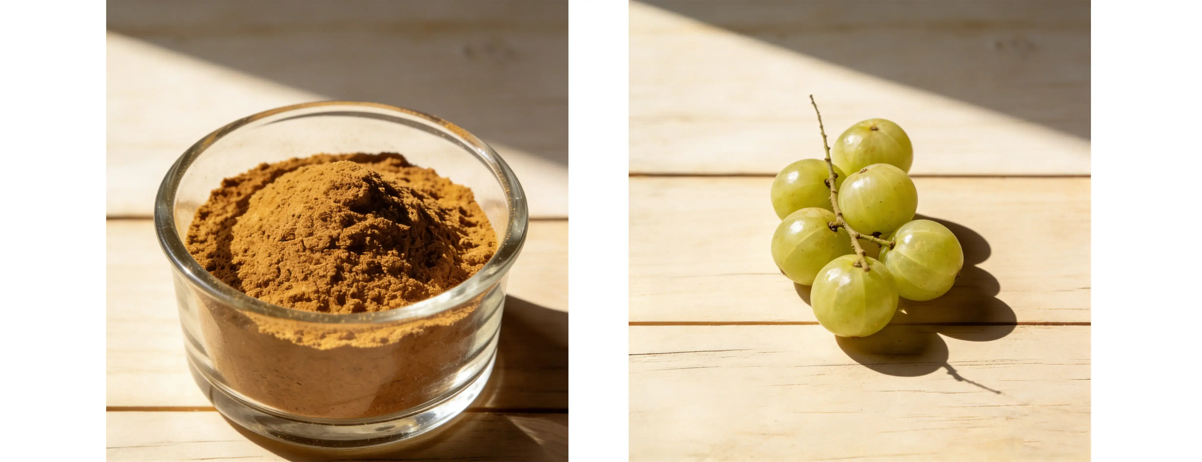 Amla Extract Amla Extract