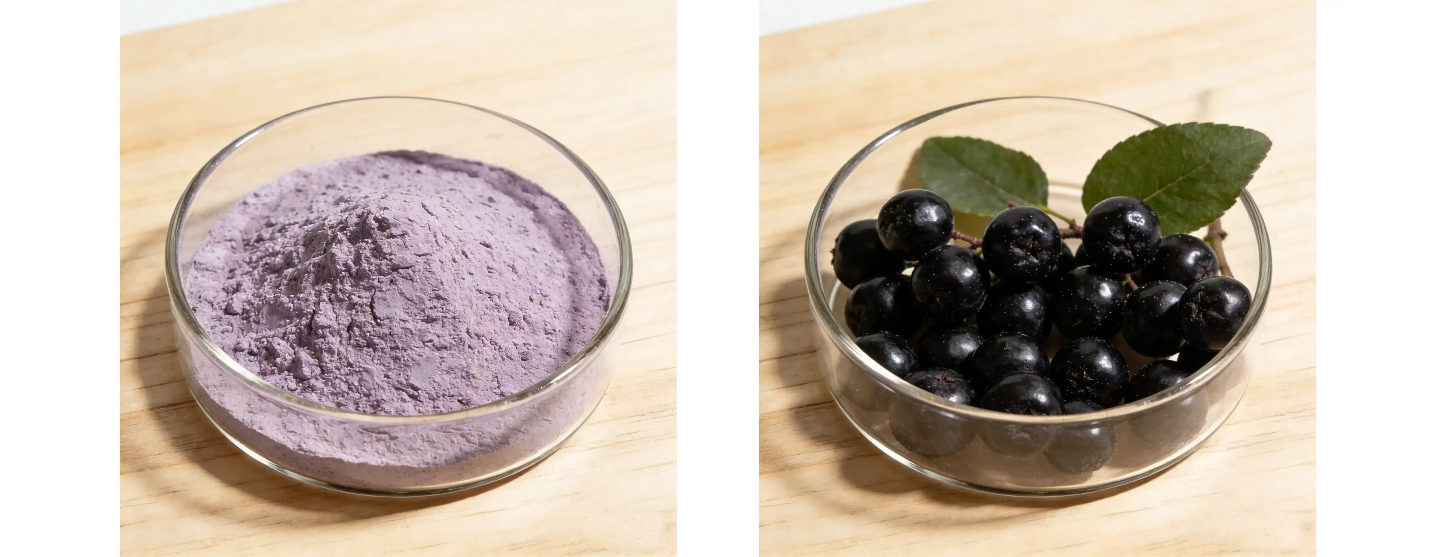 Aronia Fruit Extract Aronia Fruit Extract
