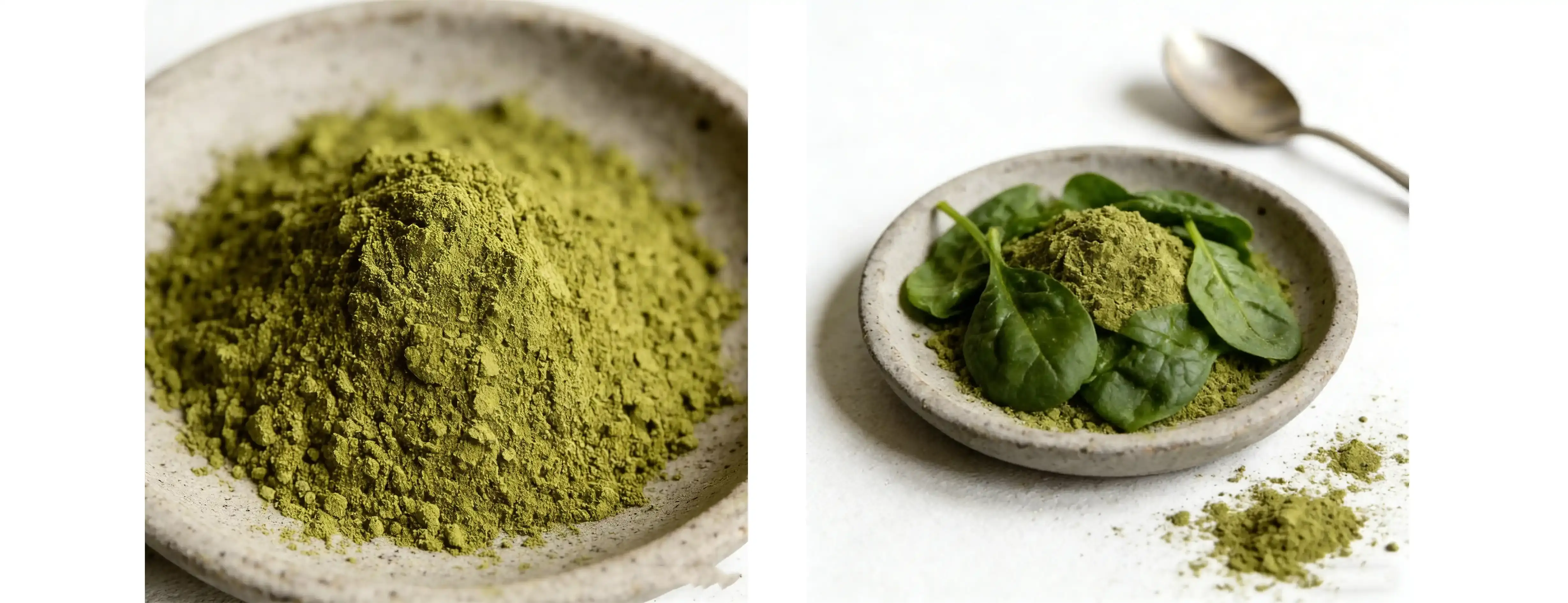 spinach extract powder
