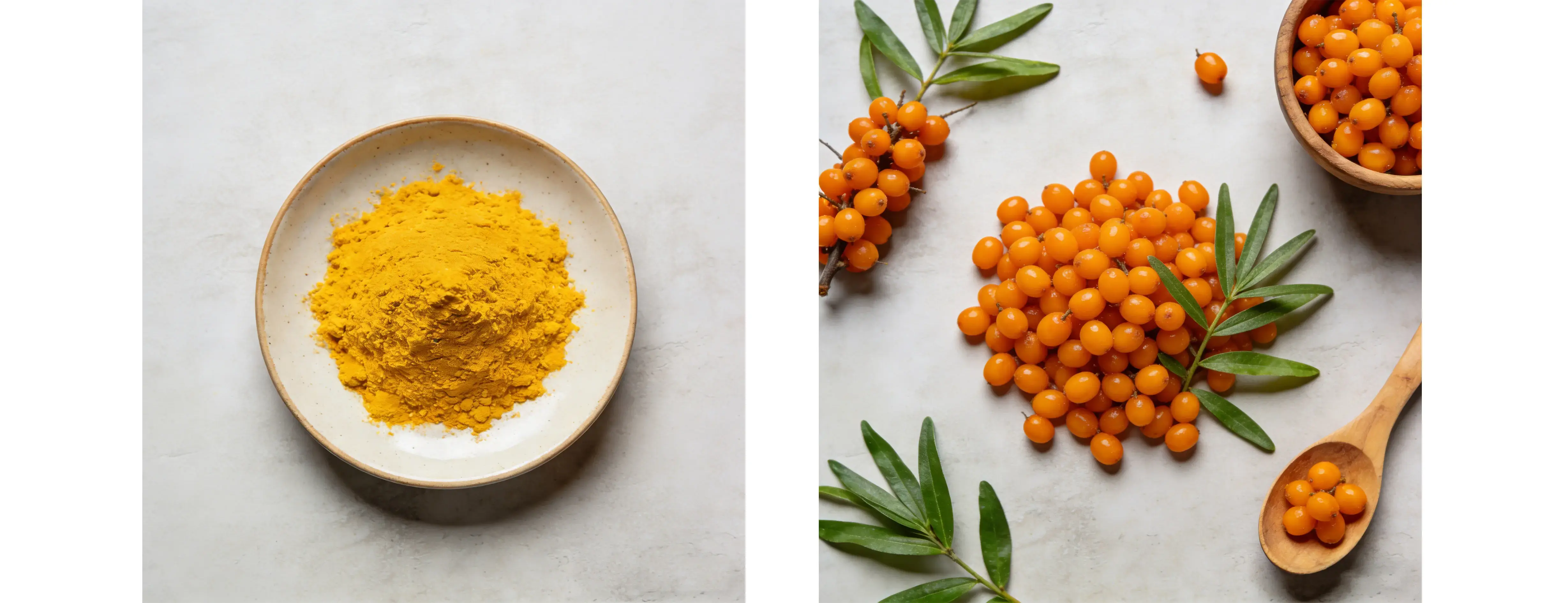Sea Buckthorn Powder Sea Buckthorn Powder
