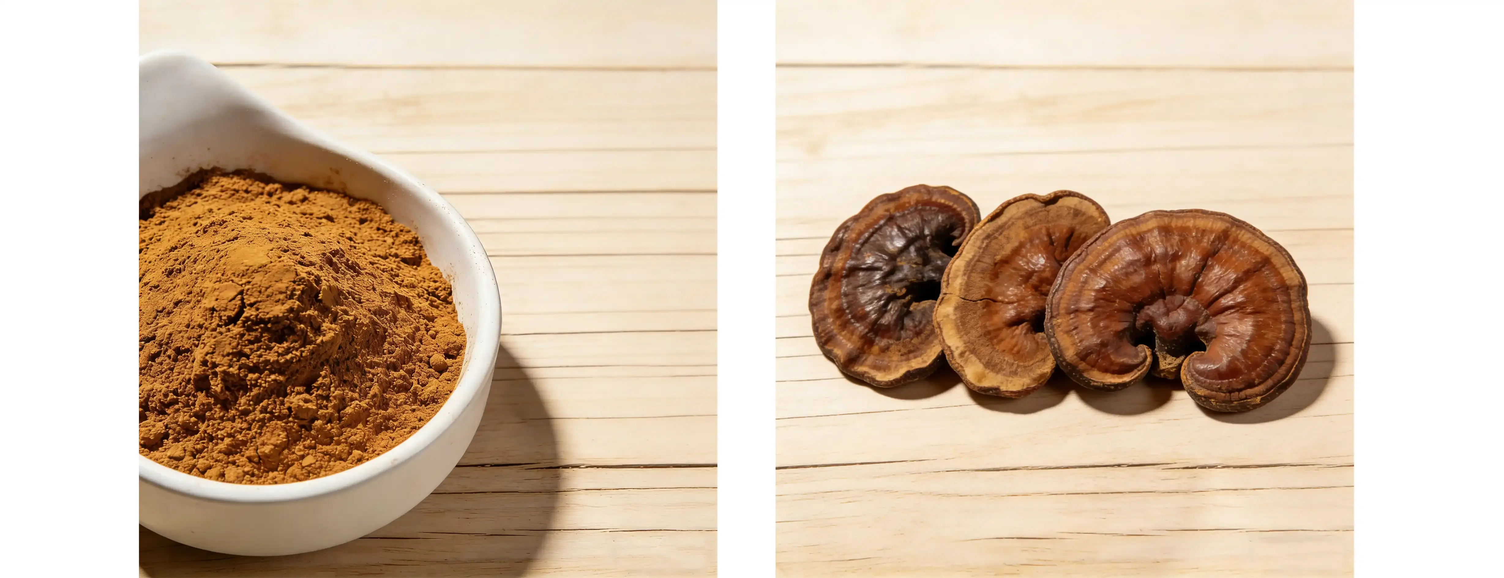 Reishi Mushroom Powder