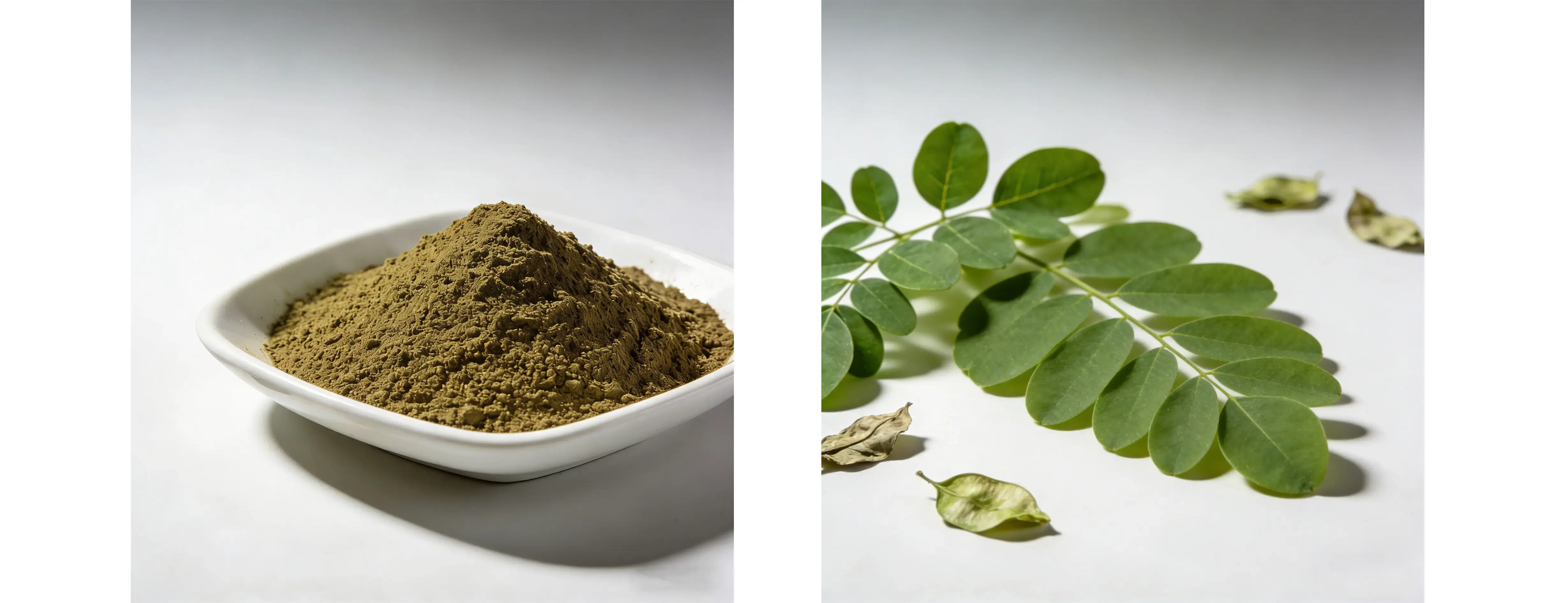 Moringa Leaf Powder Moringa Leaf Powder