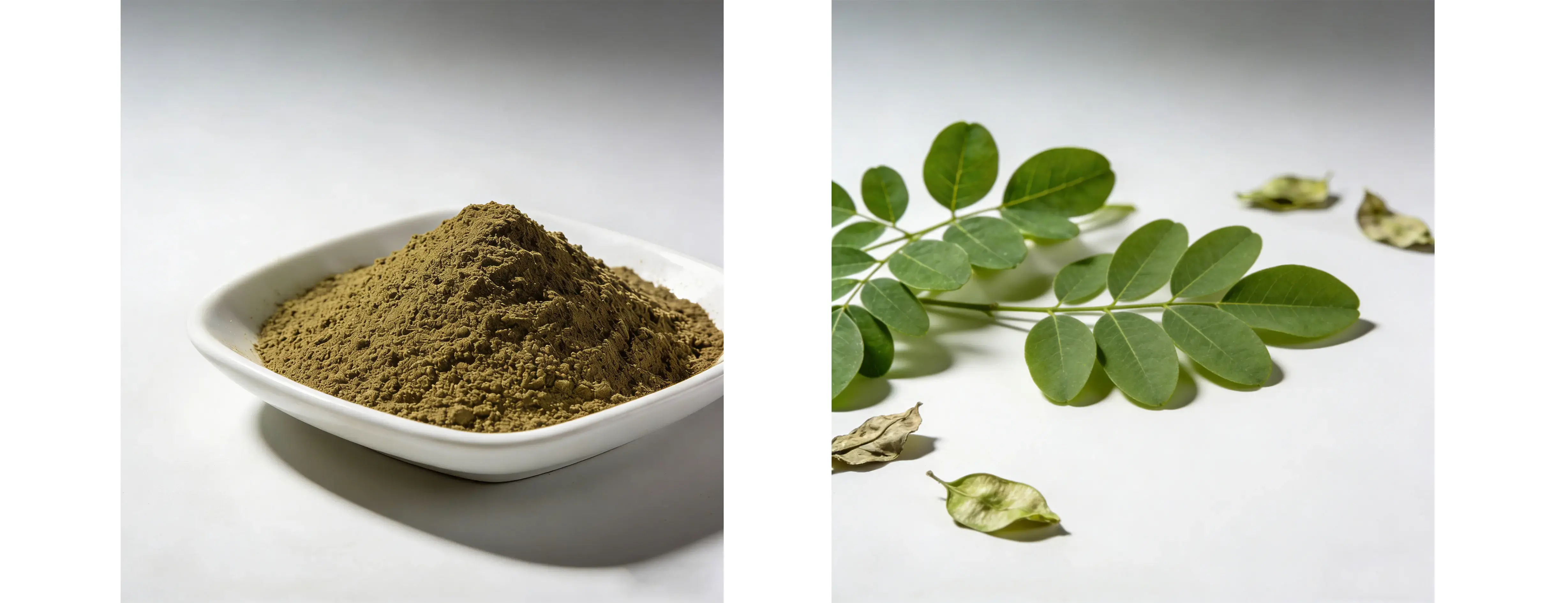 Moringa Leaf Powder Moringa Leaf Powder
