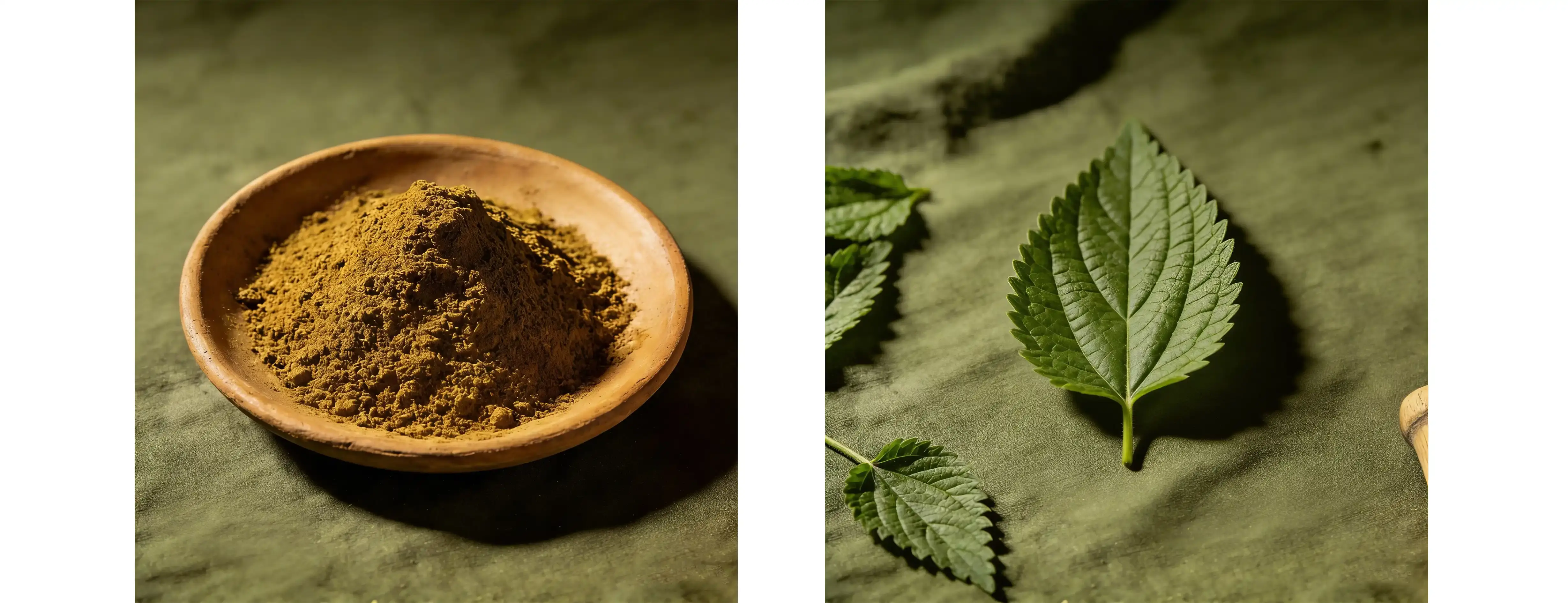 Nettle Leaf Powder Nettle Leaf Powder