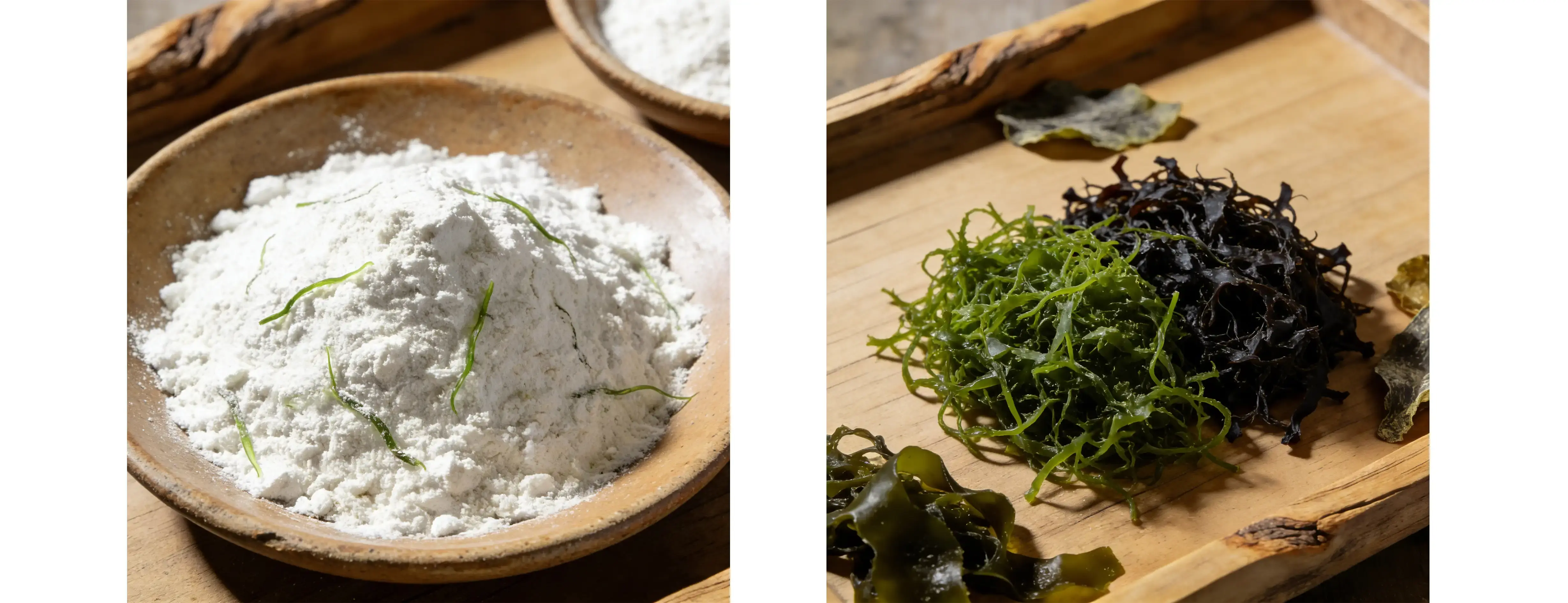 Irish Sea Moss Powder Irish Sea Moss Powder