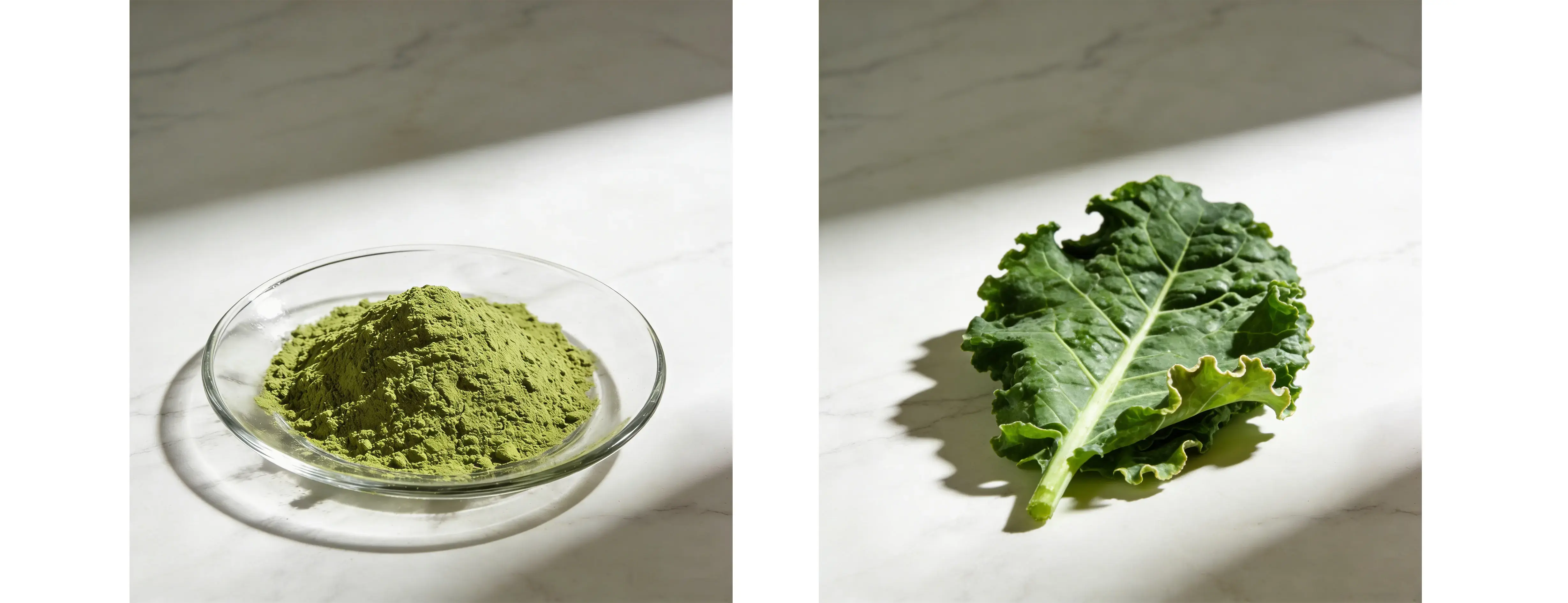 Kale Powder