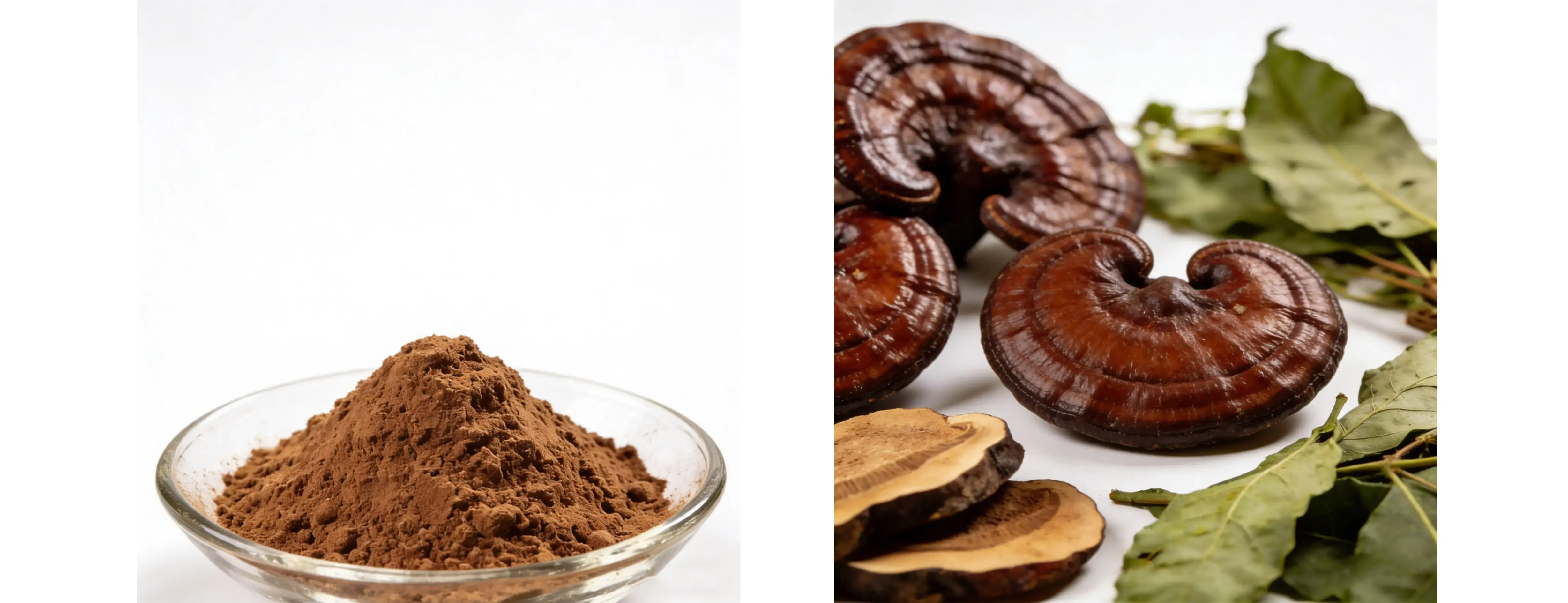 Organic Reishi Powder Organic Reishi Powder