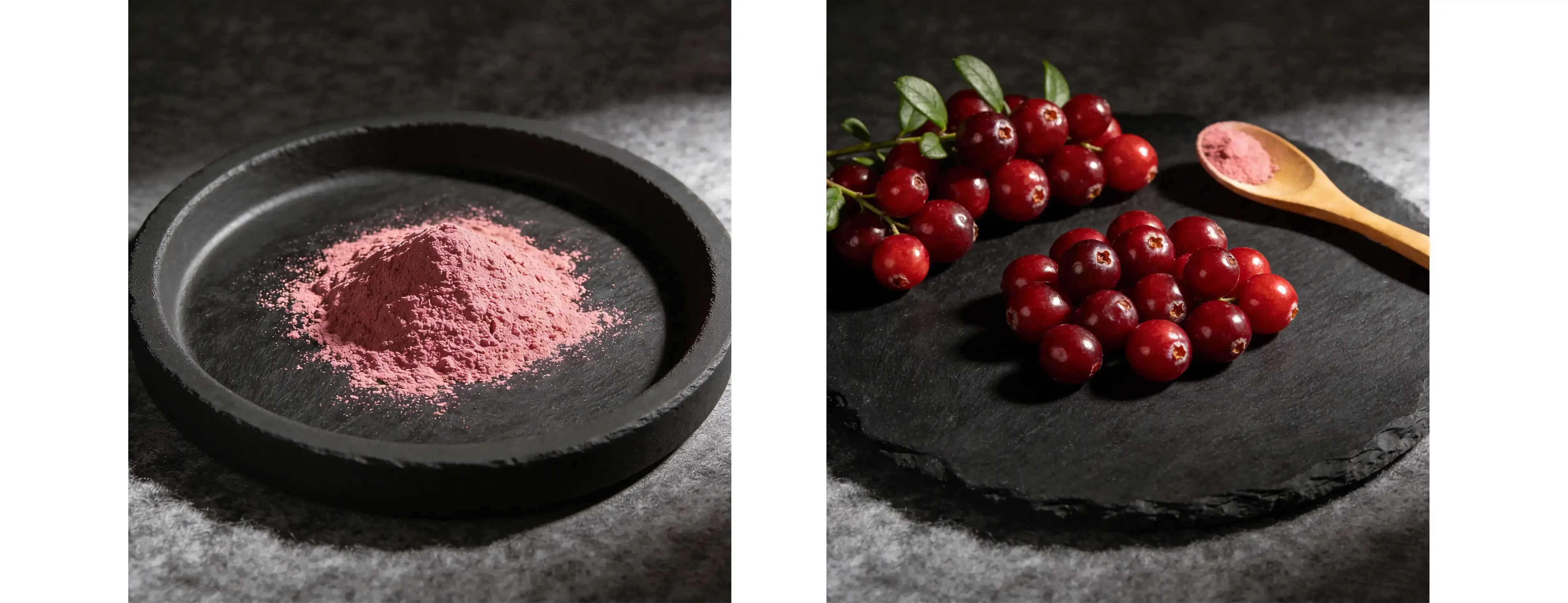 Cranberry Juice Powder Cranberry Juice Powder