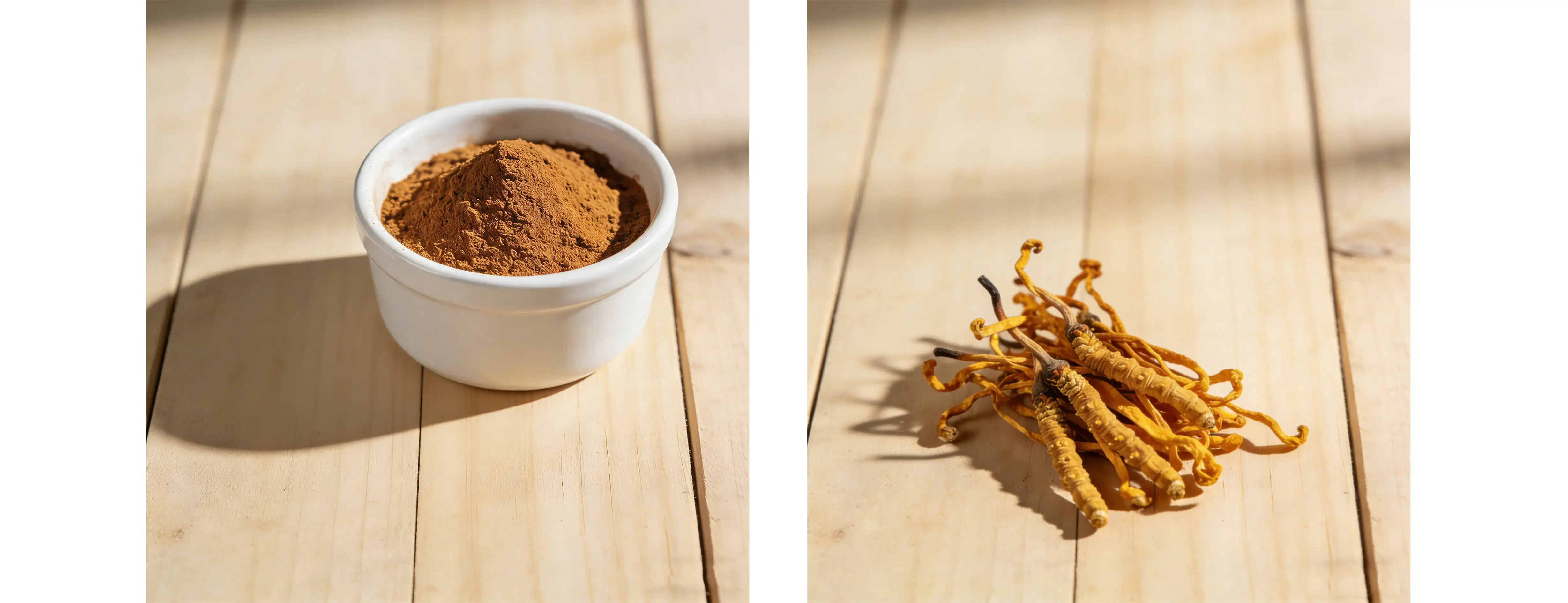 Cordyceps Militaris Powder Cordyceps Militaris Powder