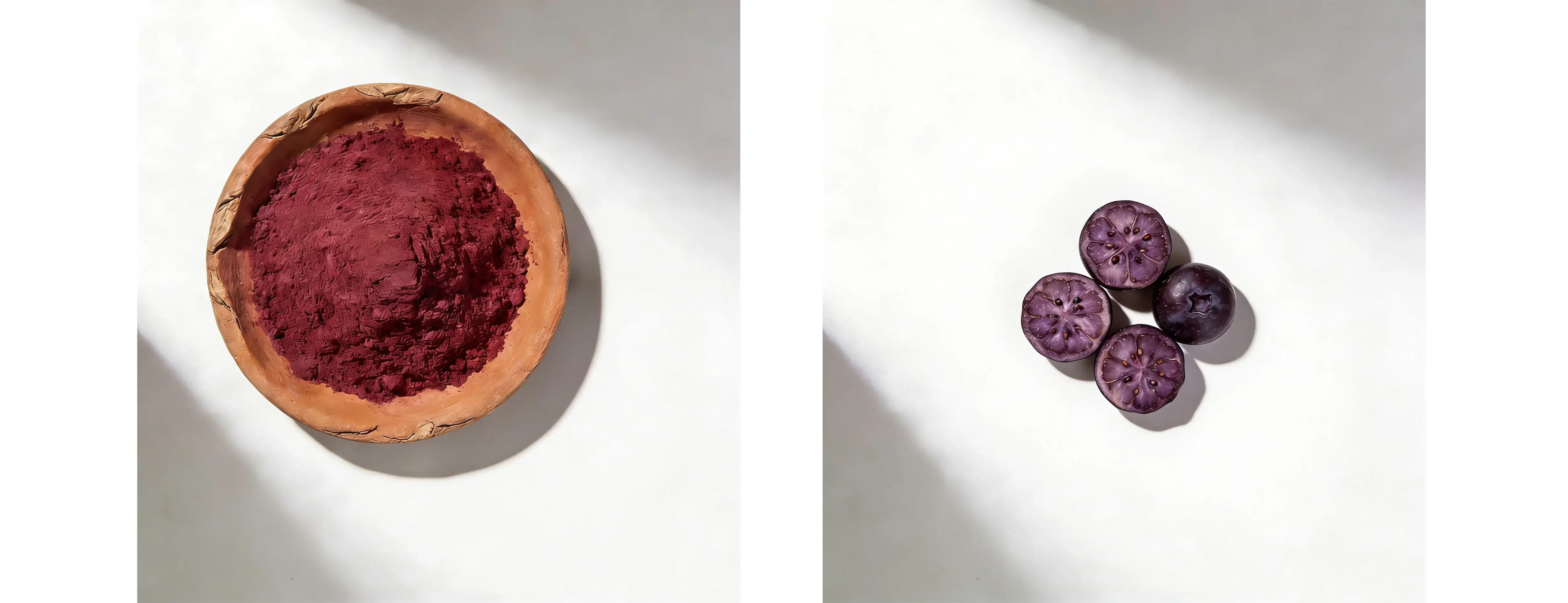 Blue Berry Juice Powder