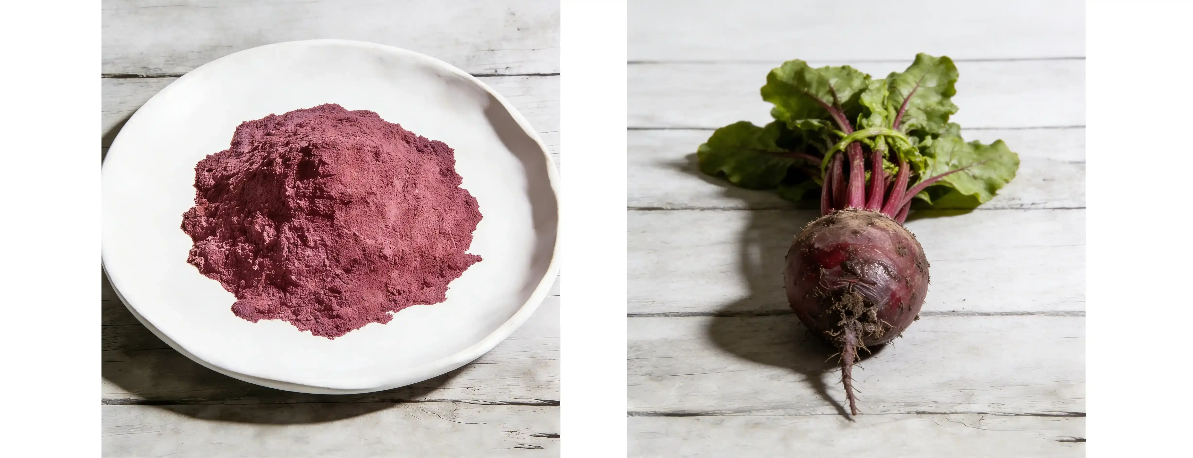 Beta Vulgaris Root Powder