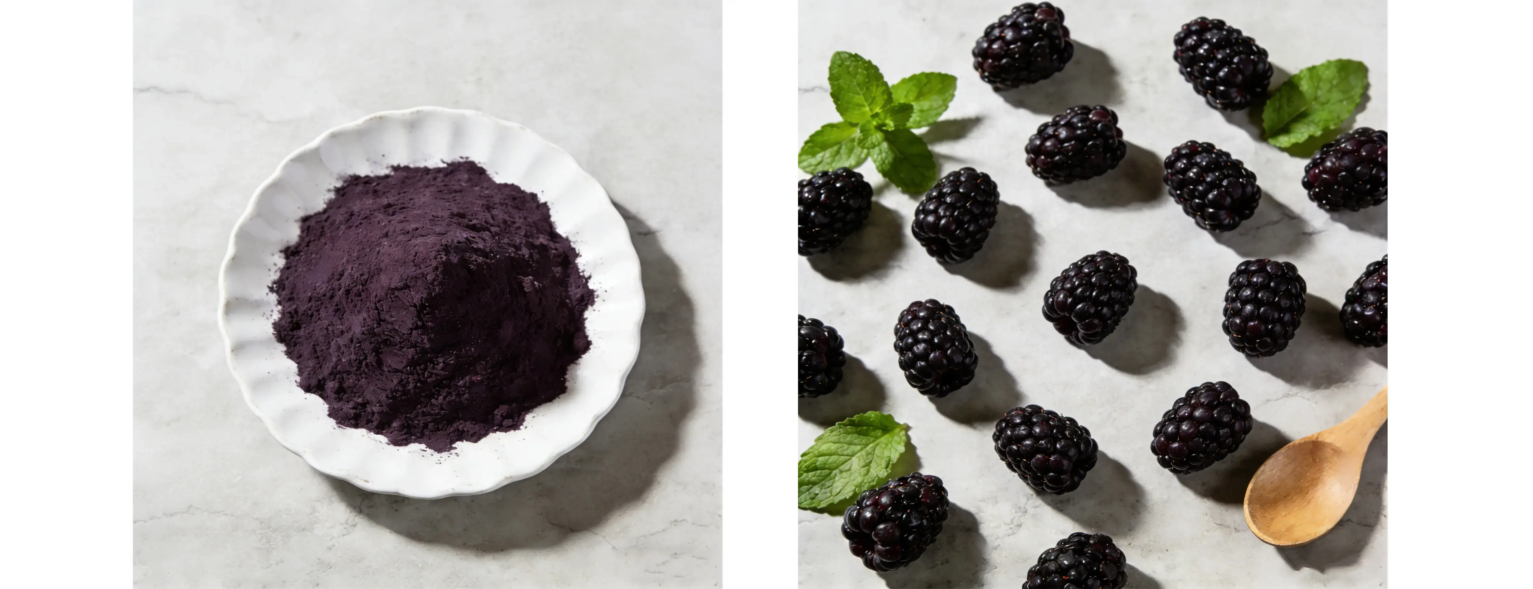 Blackberry Juice Powder Blackberry Juice Powder