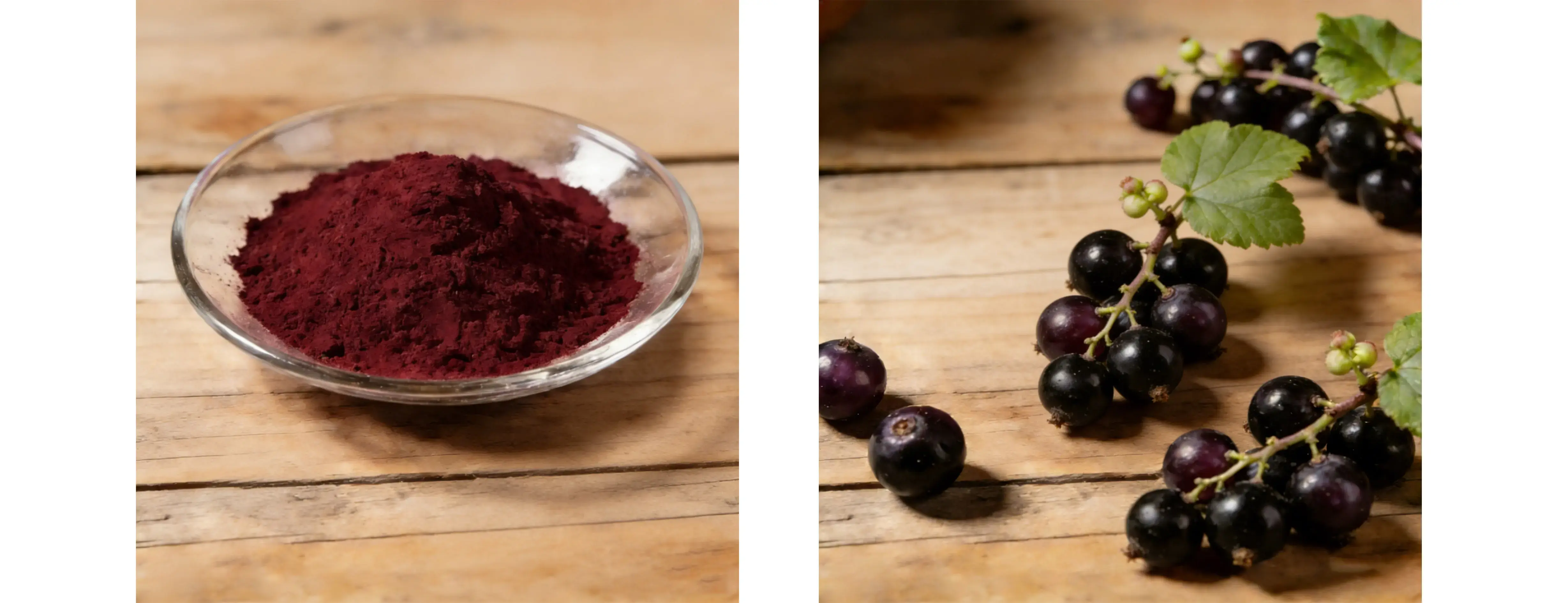 Blackcurrant Juice Powder Blackcurrant Juice Powder