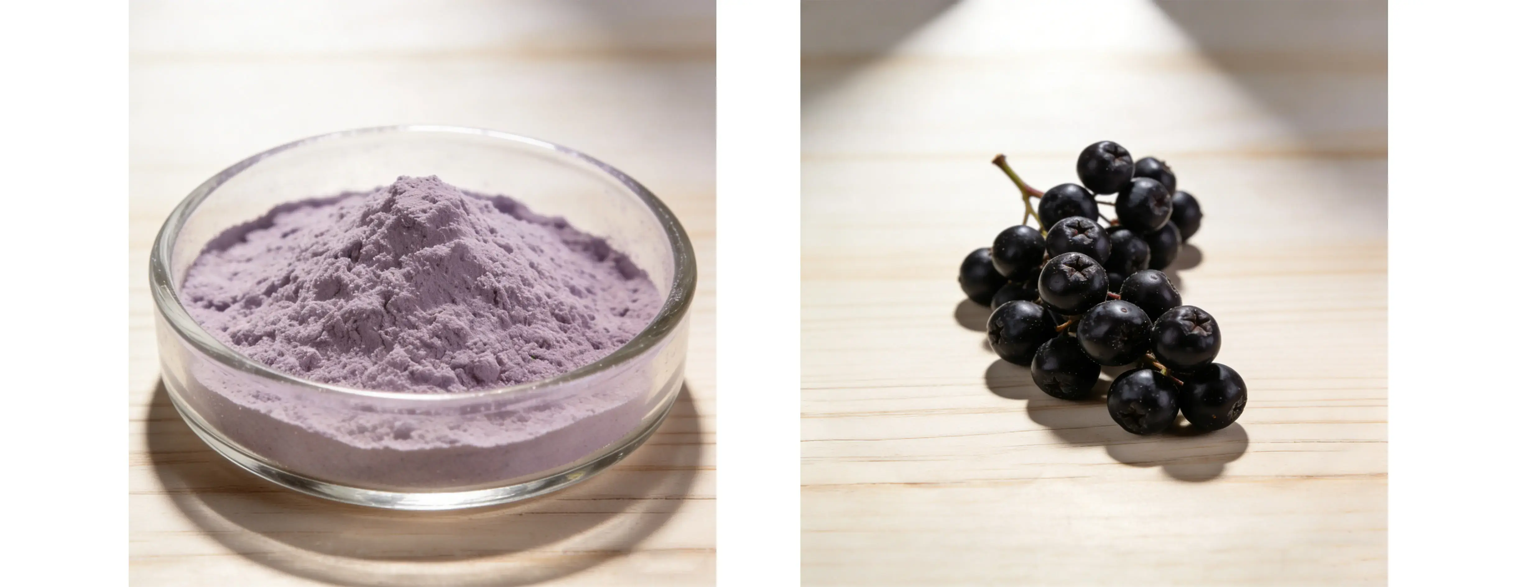 Aronia Fruit Powder Aronia Fruit Powder