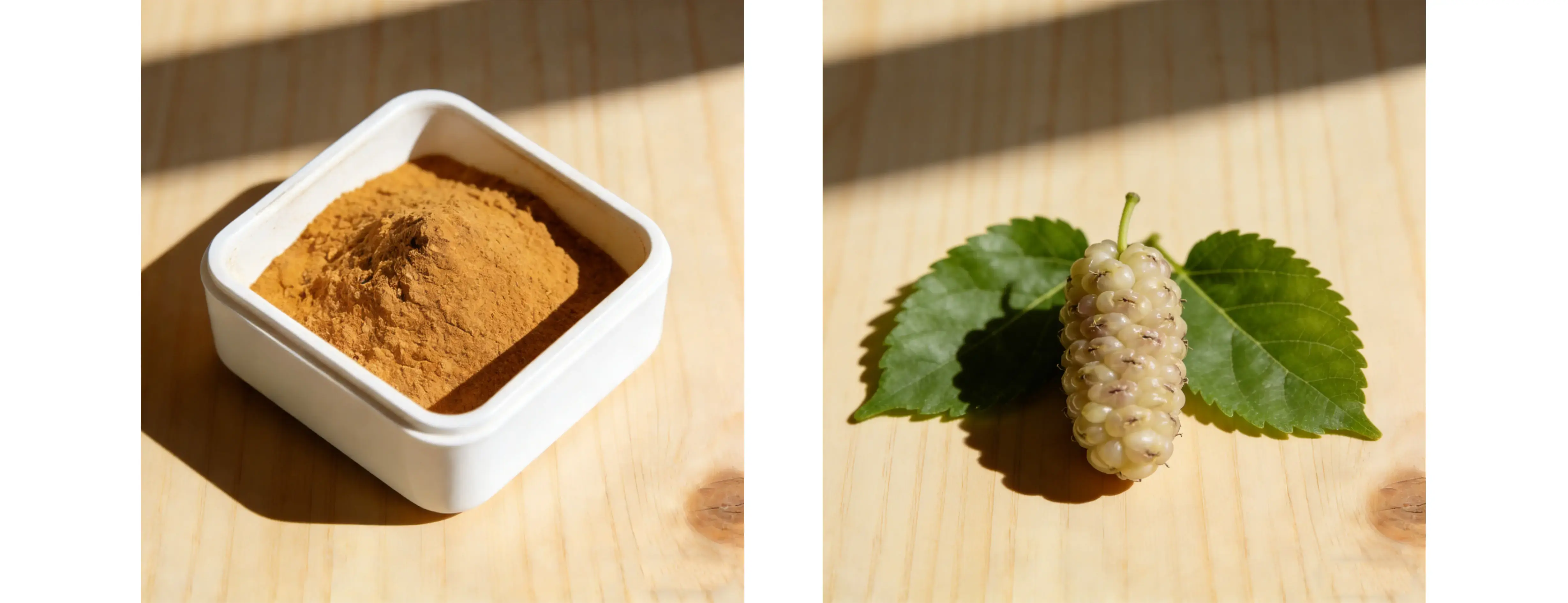 White Mulberry Extract White Mulberry Extract