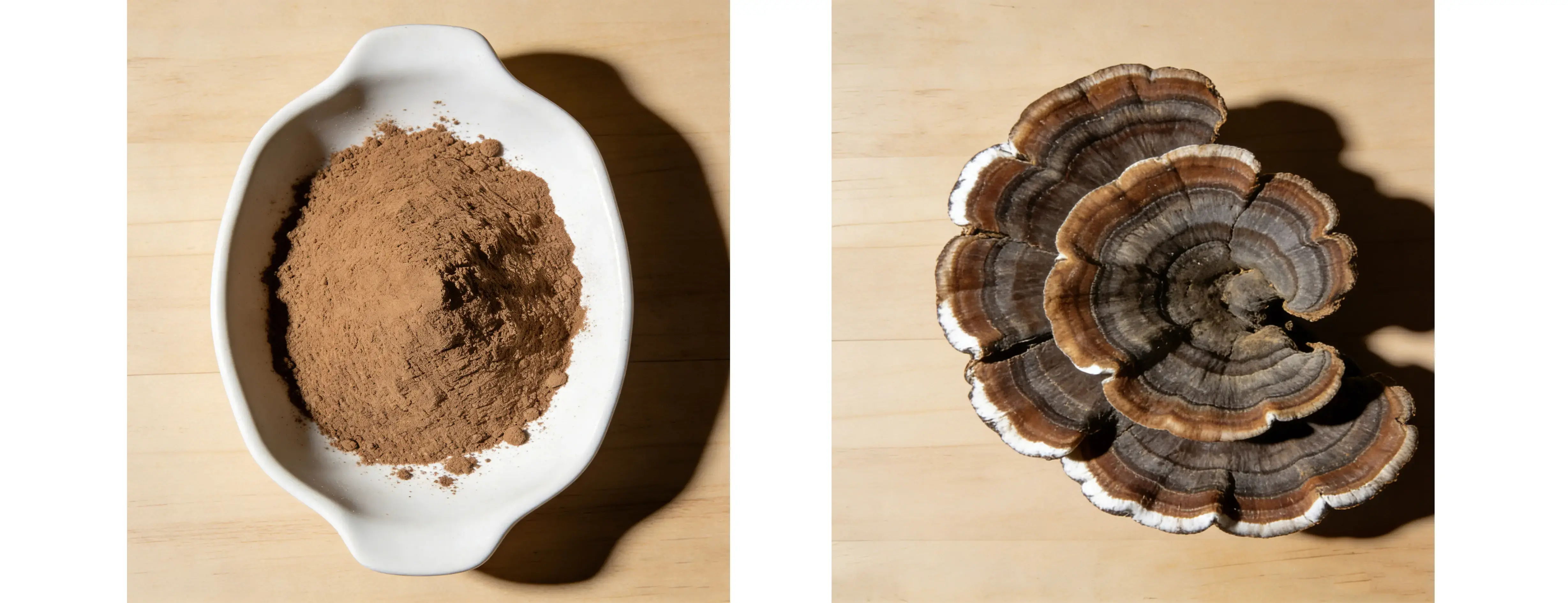 Turkey Tail Extract Polysaccharides Beta Glucan