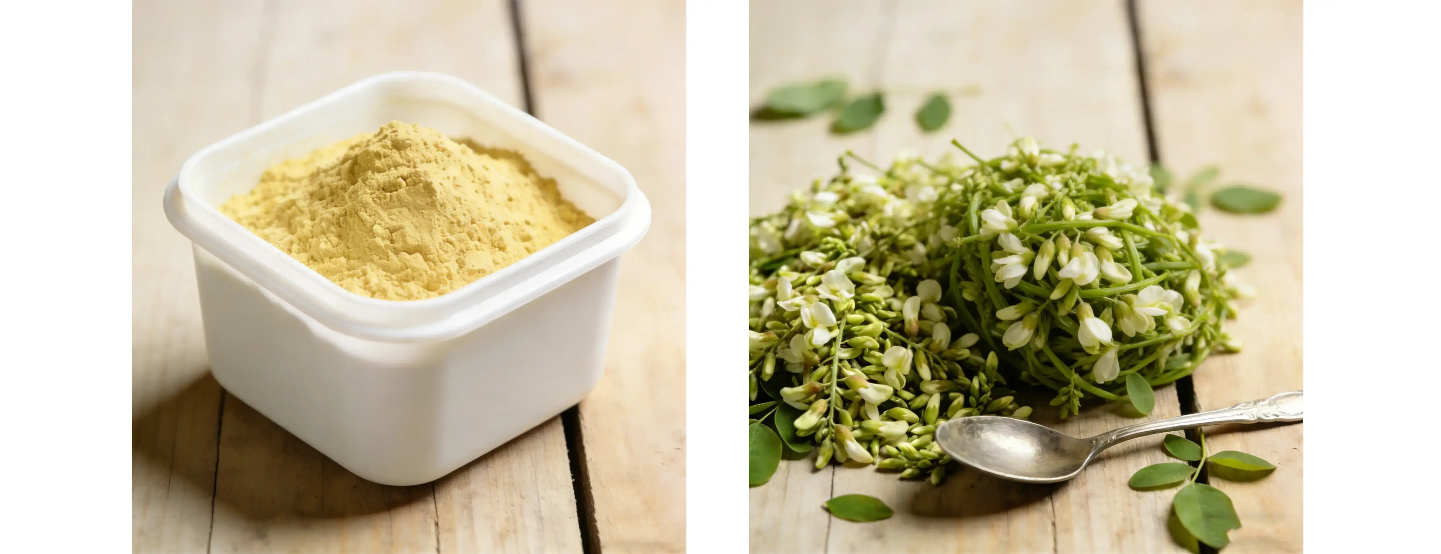 Sophora Japonica Extract  (Quercetin)