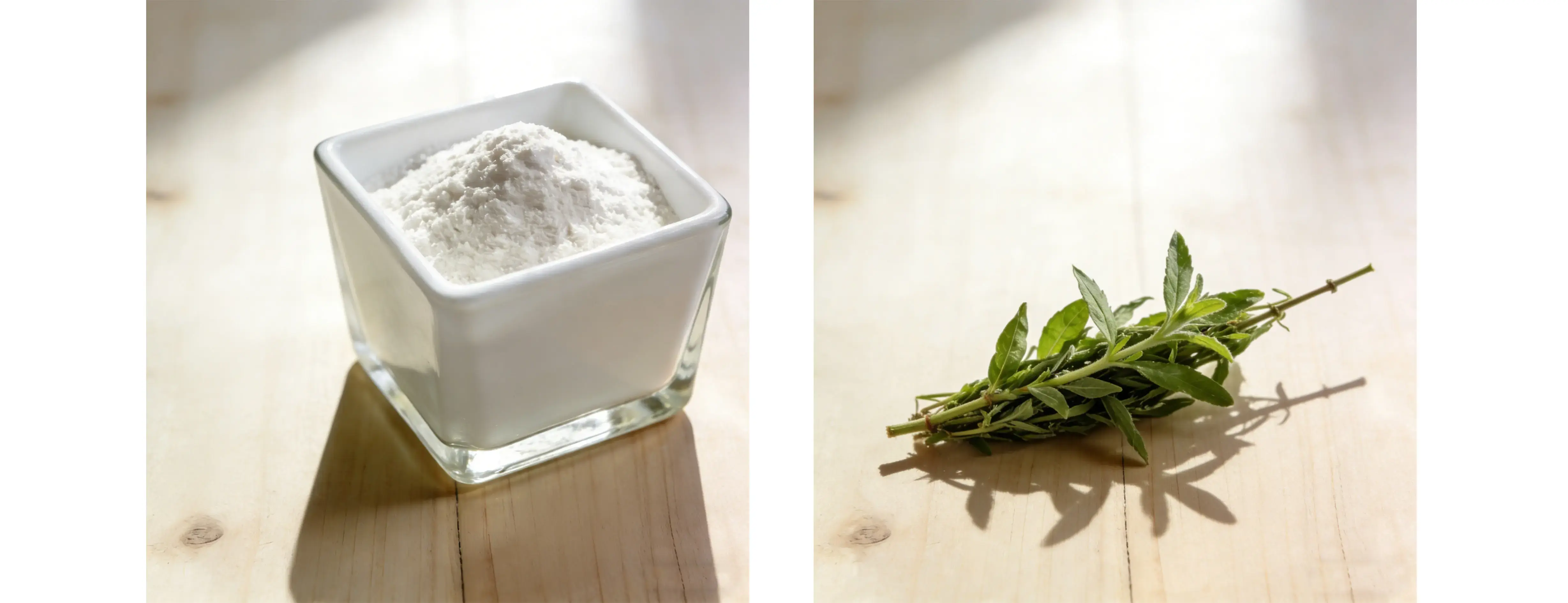 Stevia Leaf Extract 98% Stevia Leaf Extract 98%