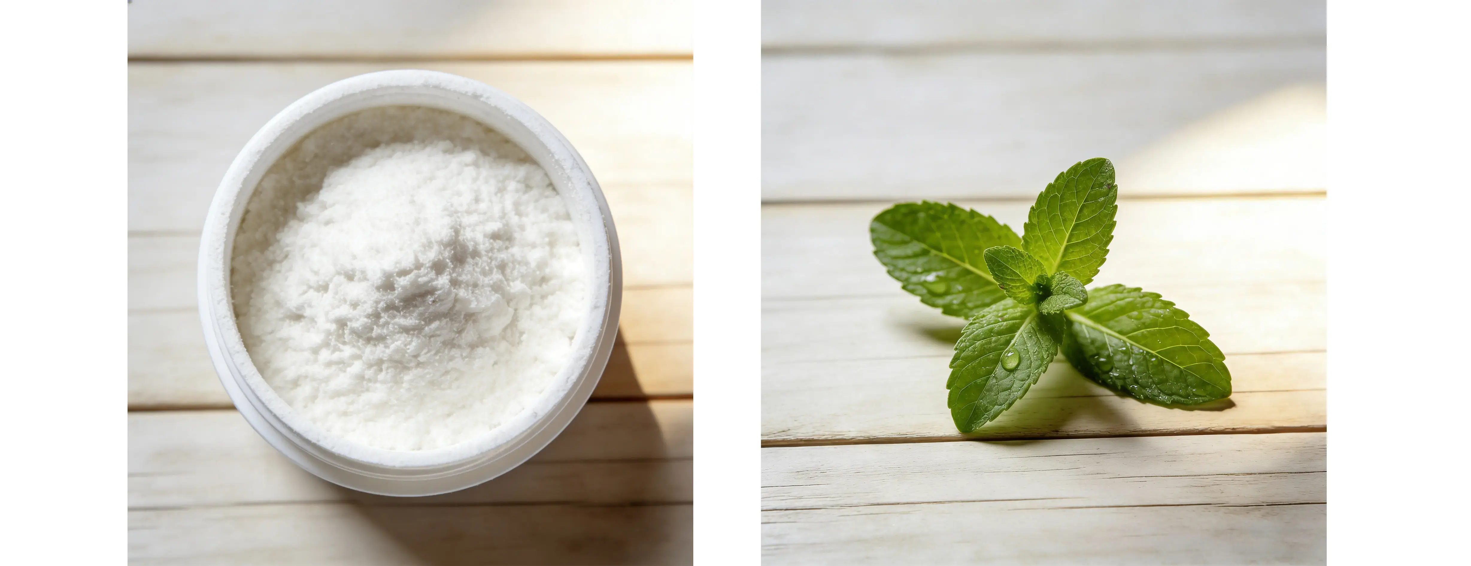 Stevia Leaf Extract Stevia Leaf Extract