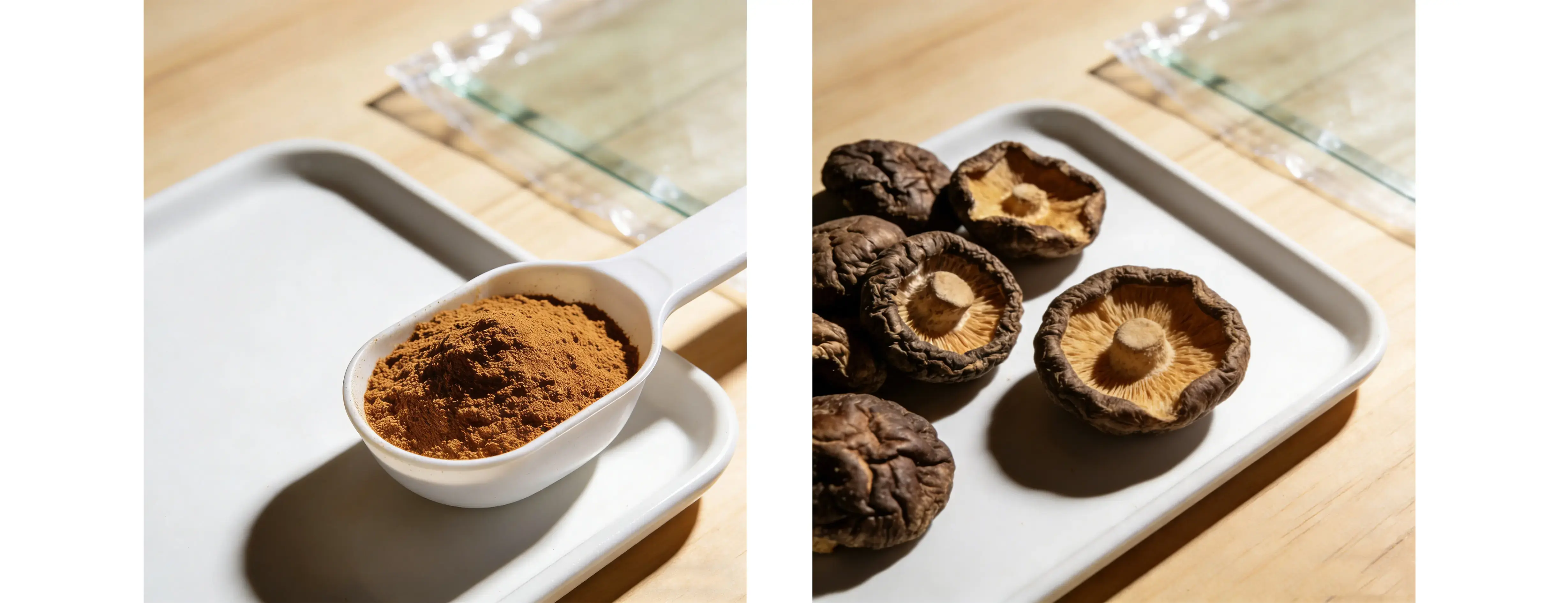 Shiitake Extract Shiitake Extract