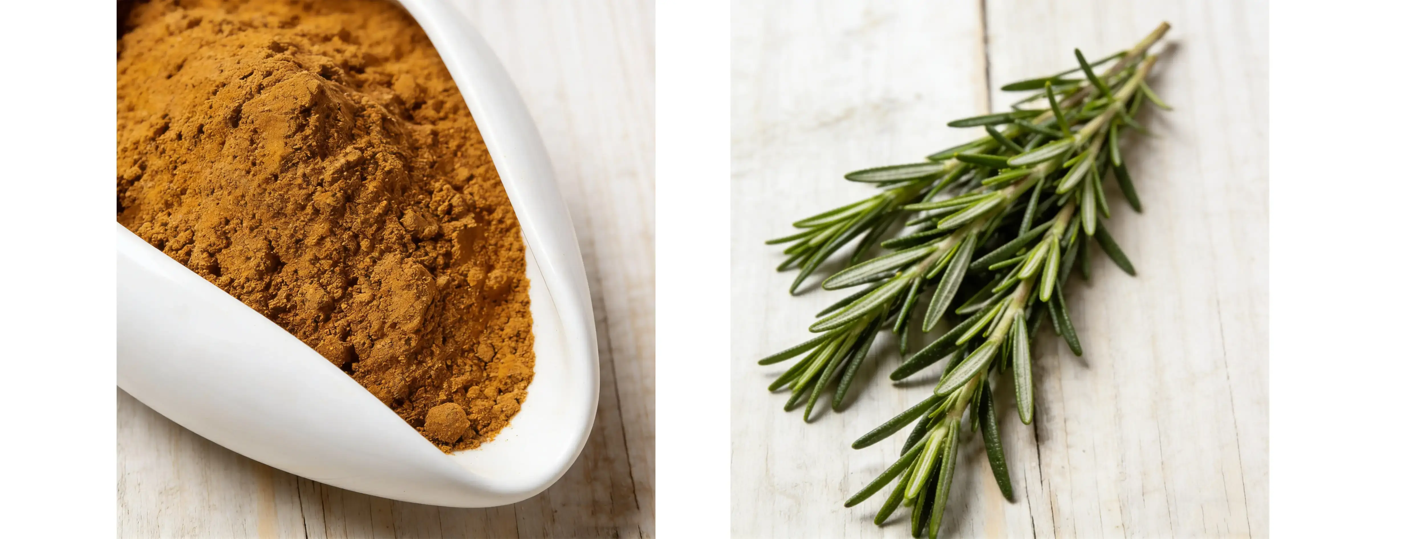 Rosemary Extract 50% Rosmarinic acid