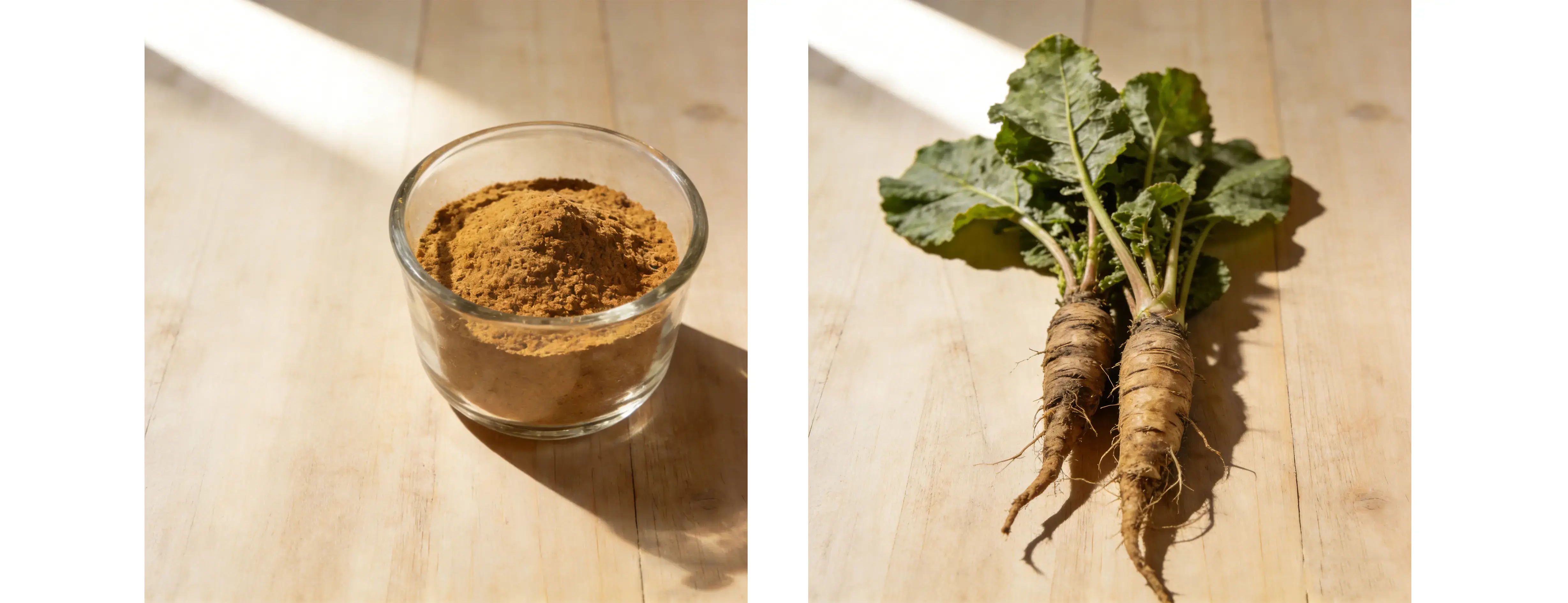 Burdock Extract
