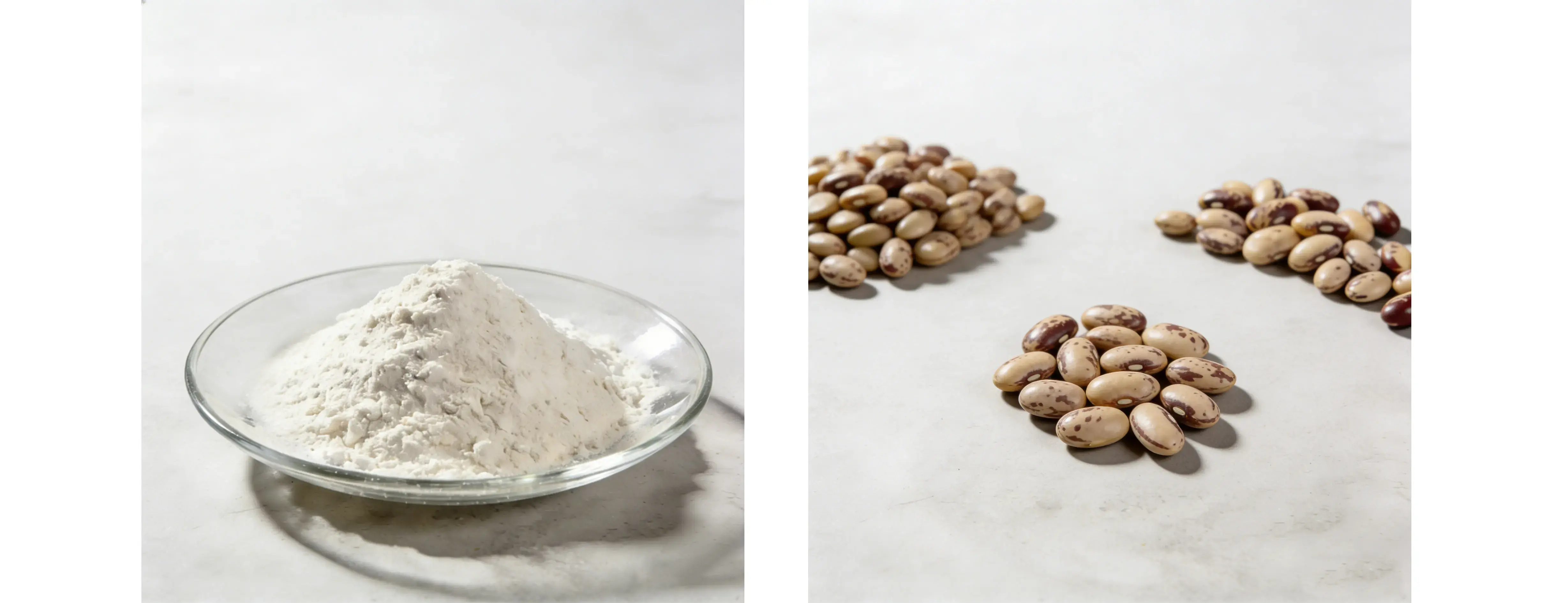 Mucuna Pruriens Extract 98% L-Dopa