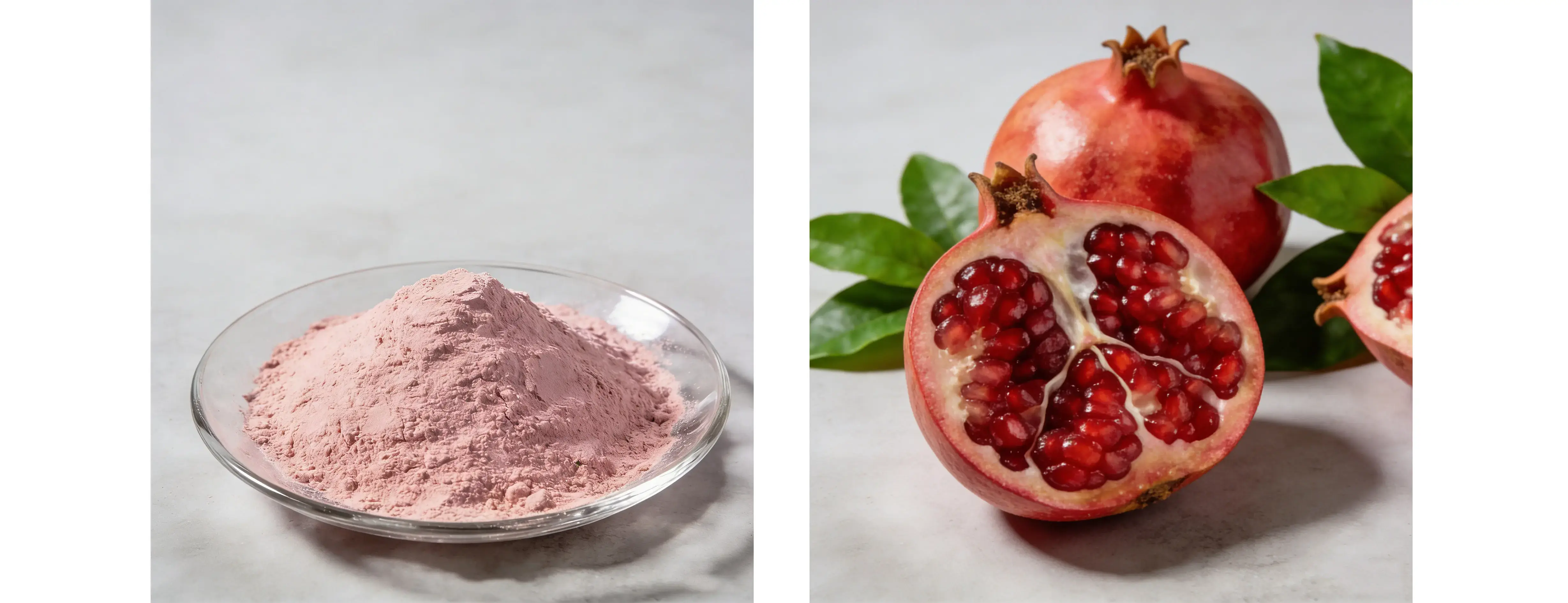 Pomegranate Fruit Extract Pomegranate Fruit Extract