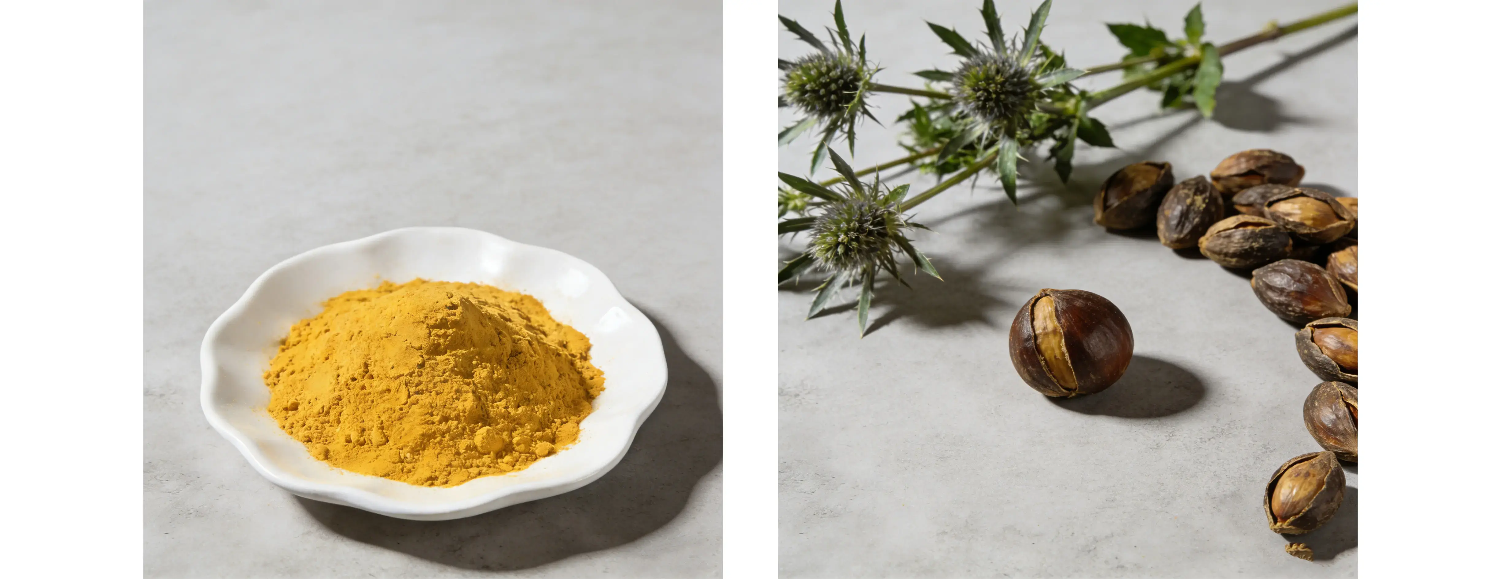 Milk Thistle Extract 80% Silymarin