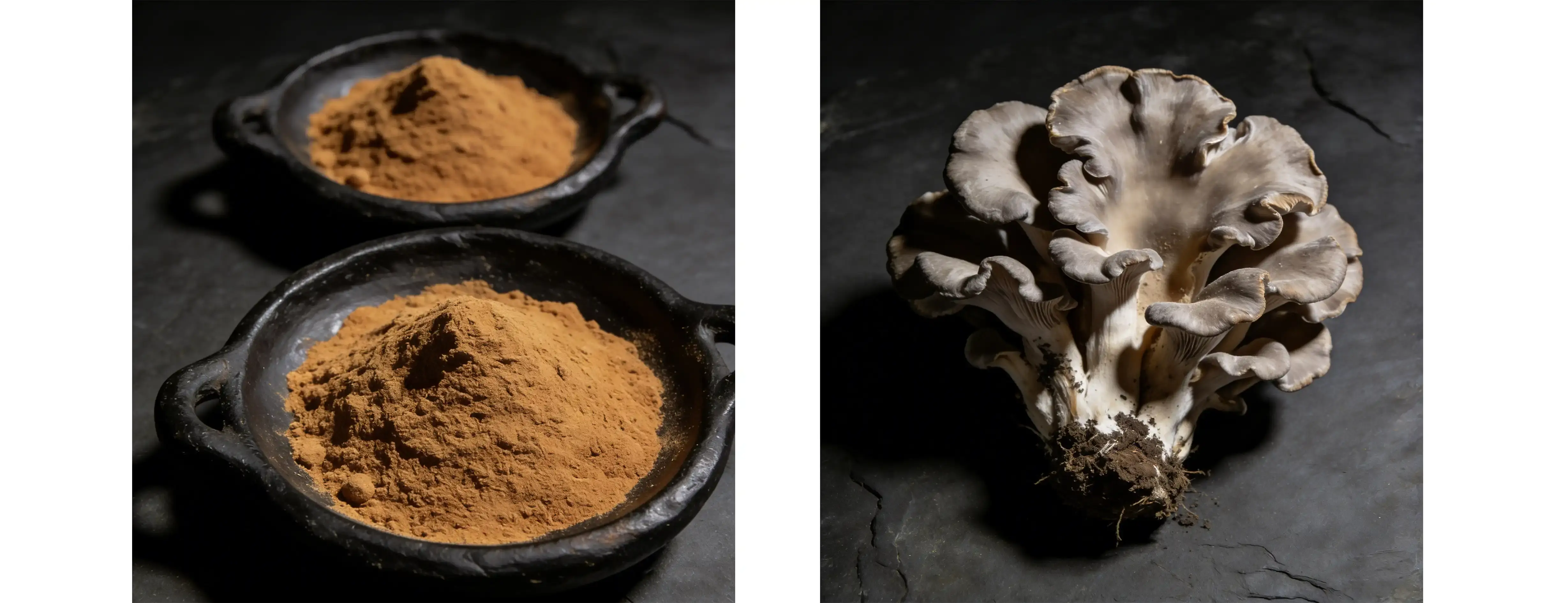 Maitake Mushroom Extract Maitake Mushroom Extract