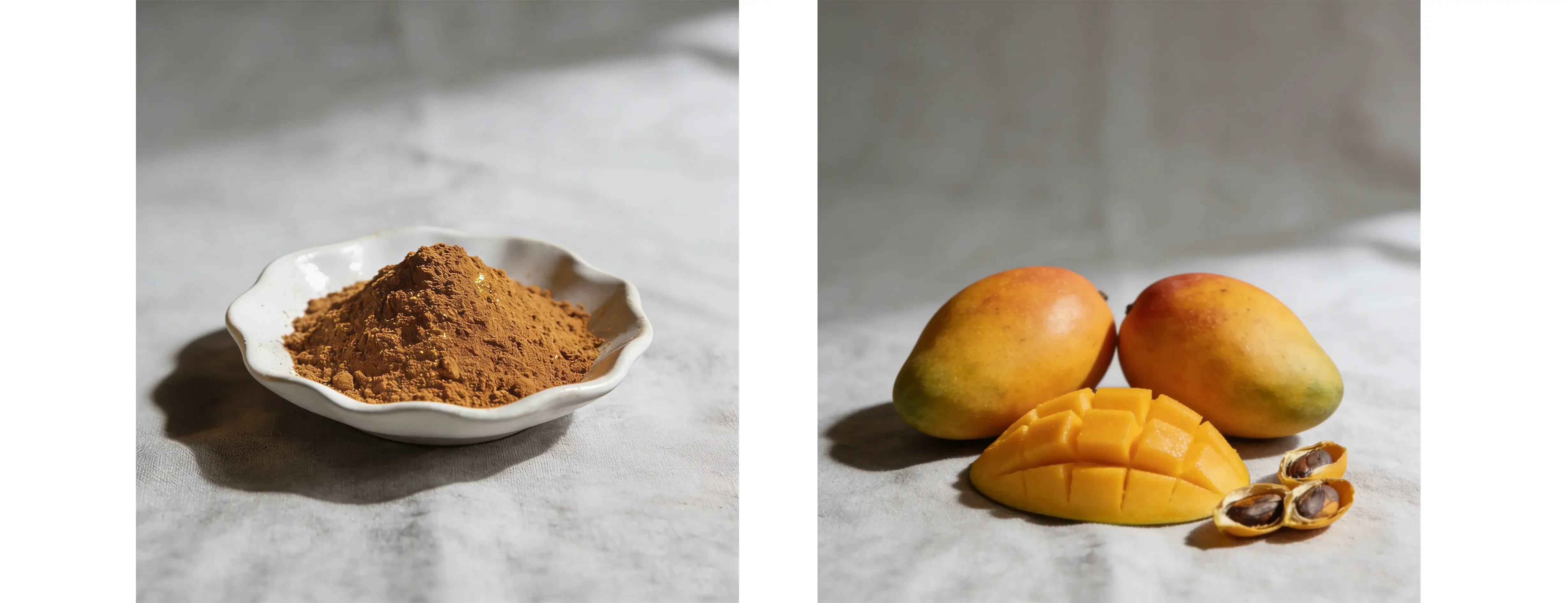 Mango Seed Extract Mango Seed Extract