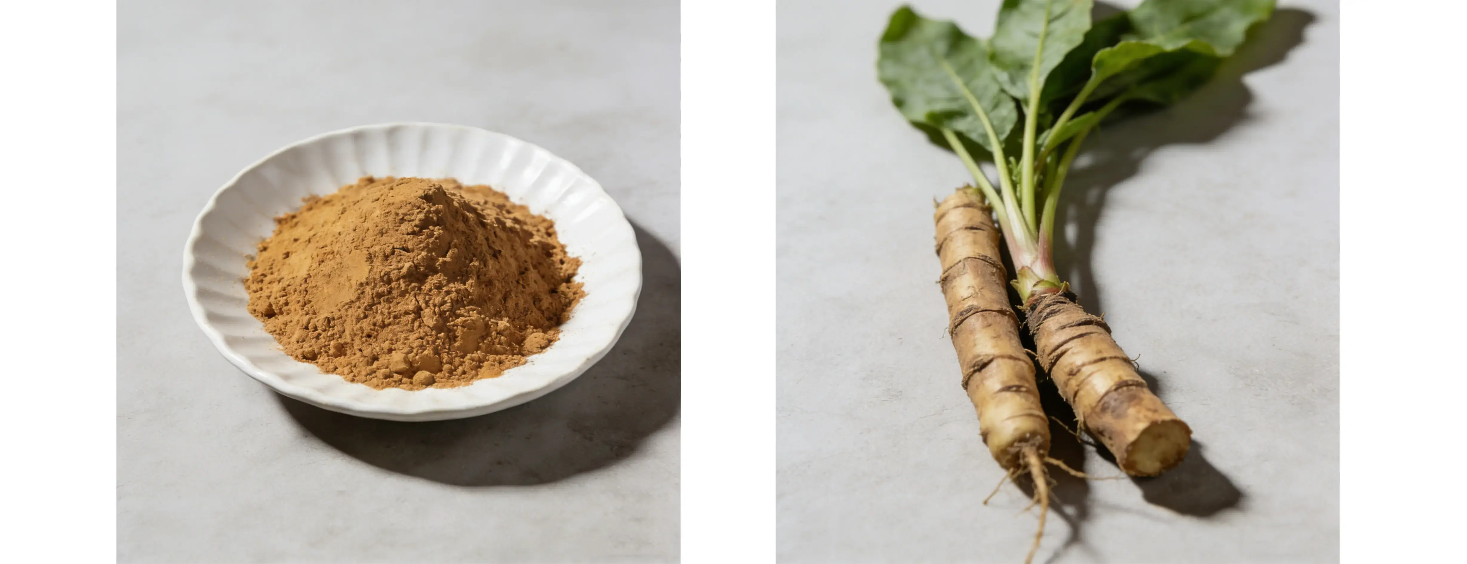 Maral Root Extract