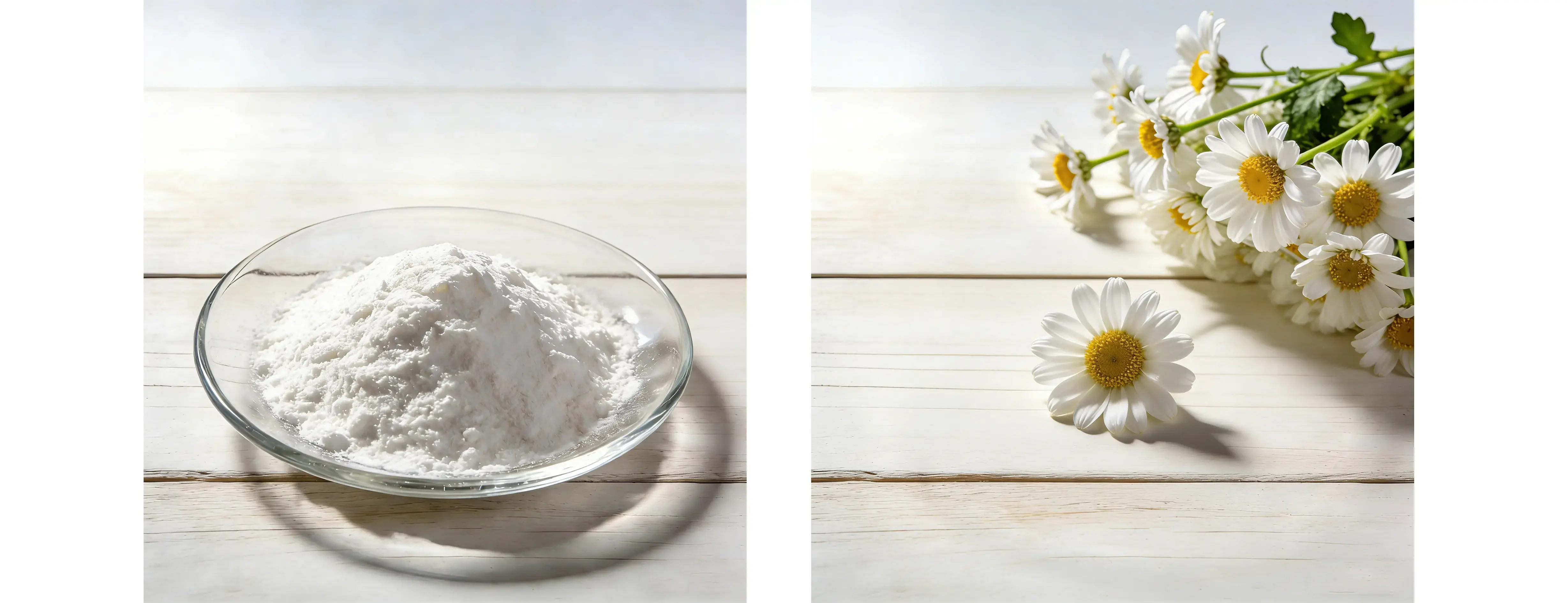 Inulin Powder Extract