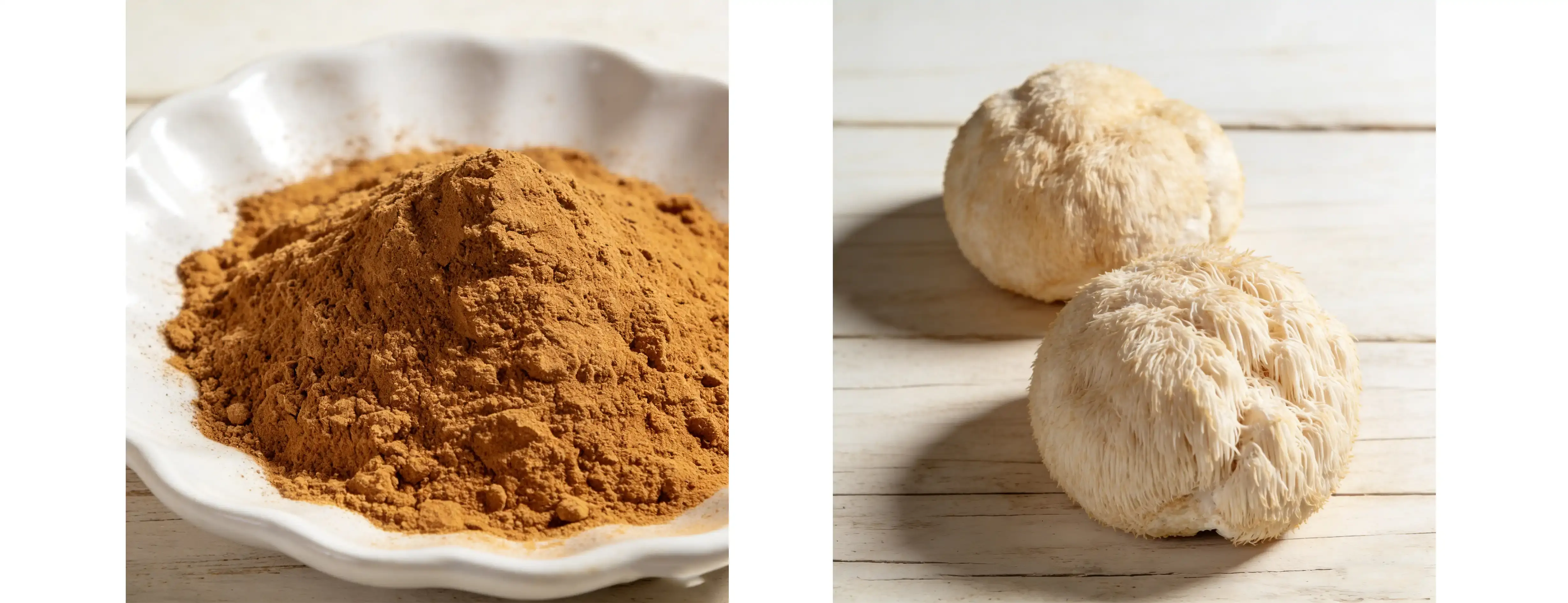 Lion's Mane Mushroom Extract