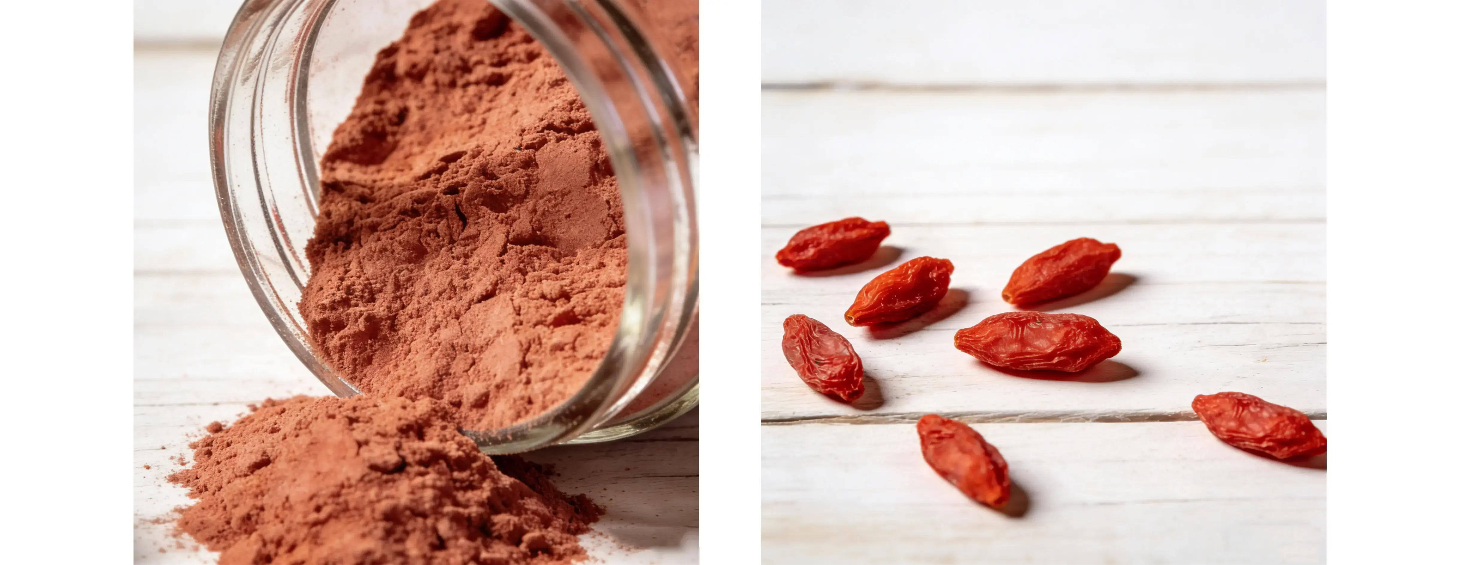 Goji Berry Extract Goji Berry Extract
